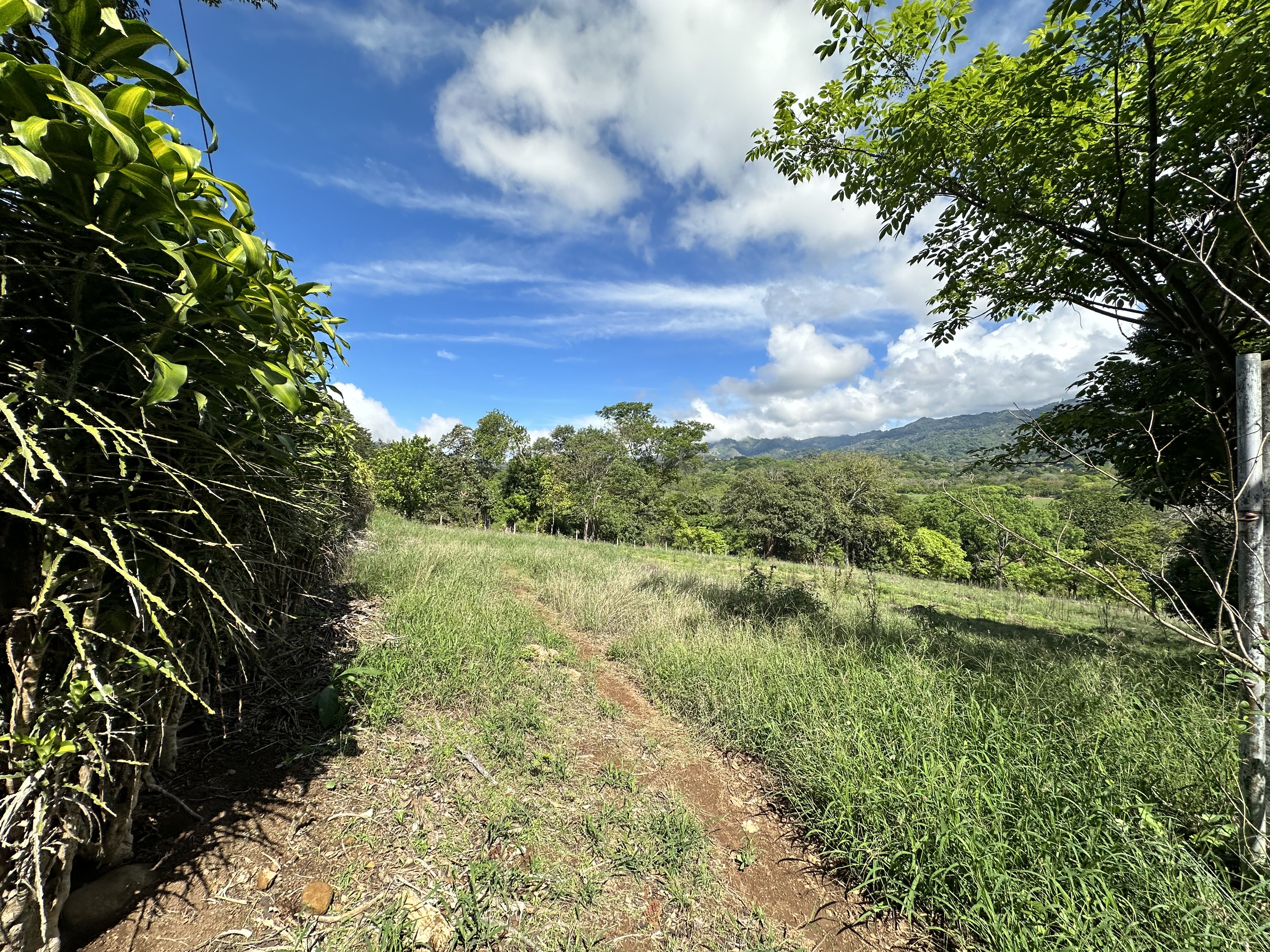 0 bed Land For Sale in Atenas, Alajuela - thumb 11