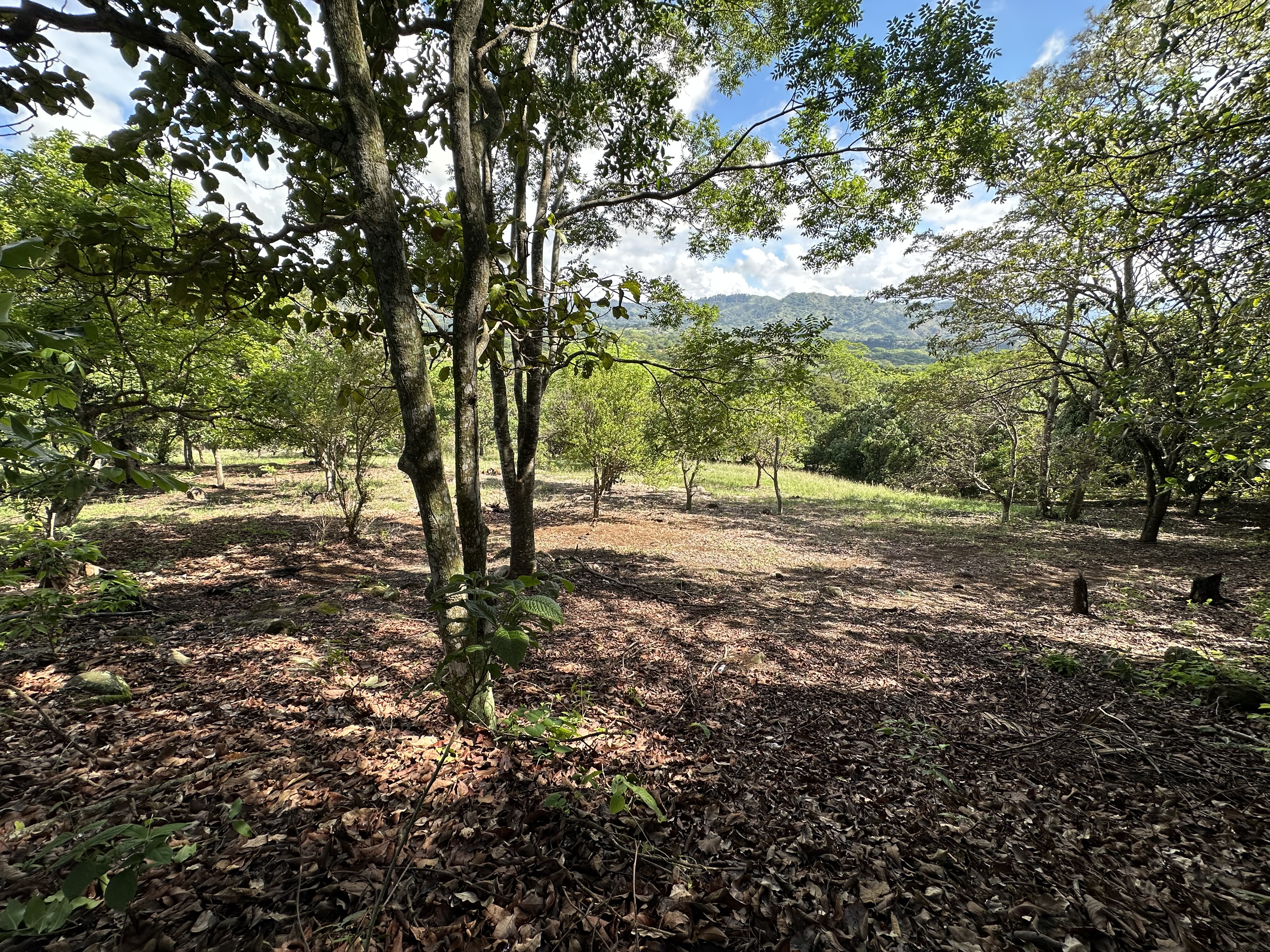 0 bed Land For Sale in Atenas, Alajuela - thumb 16