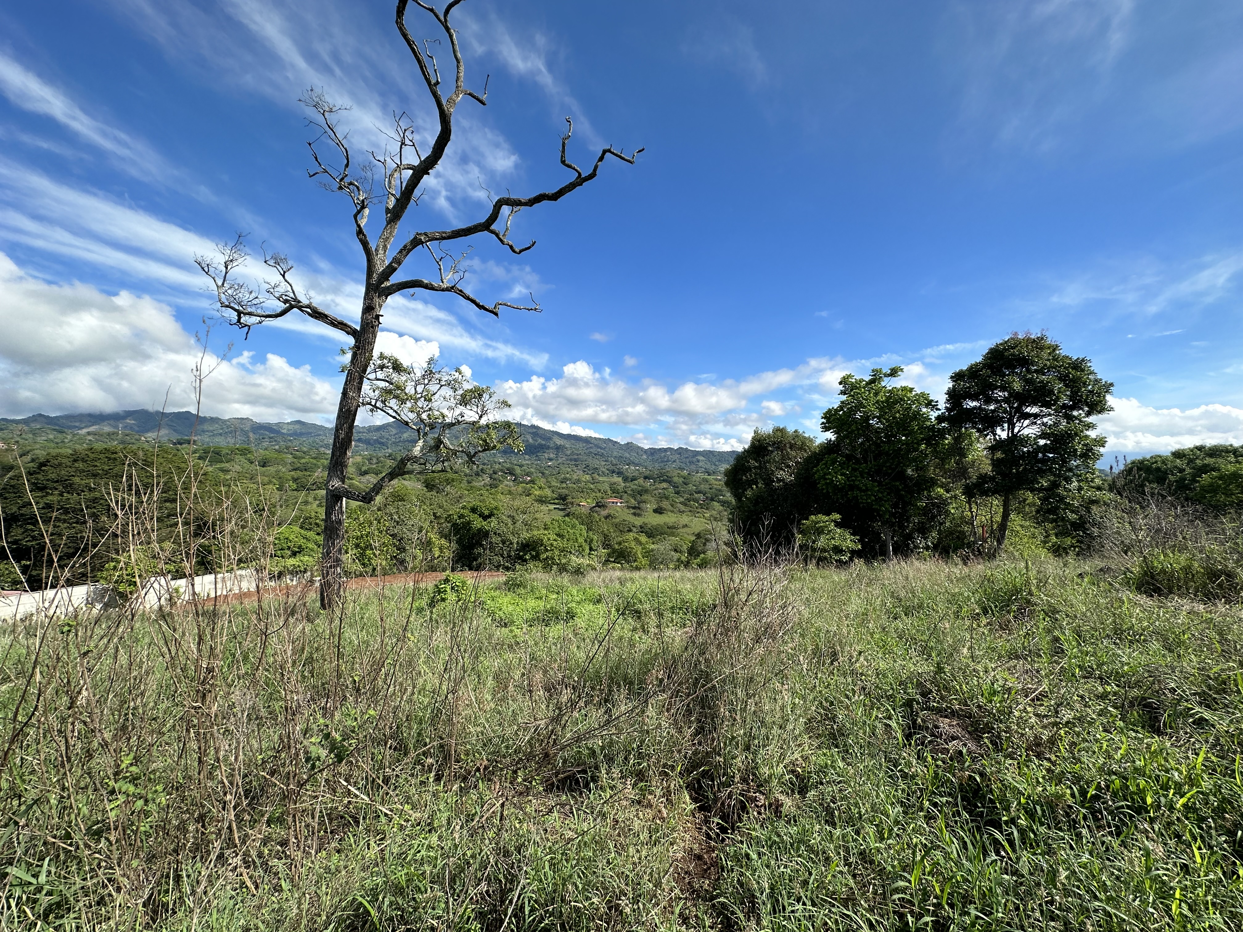 0 bed Land For Sale in Atenas, Alajuela - thumb 8