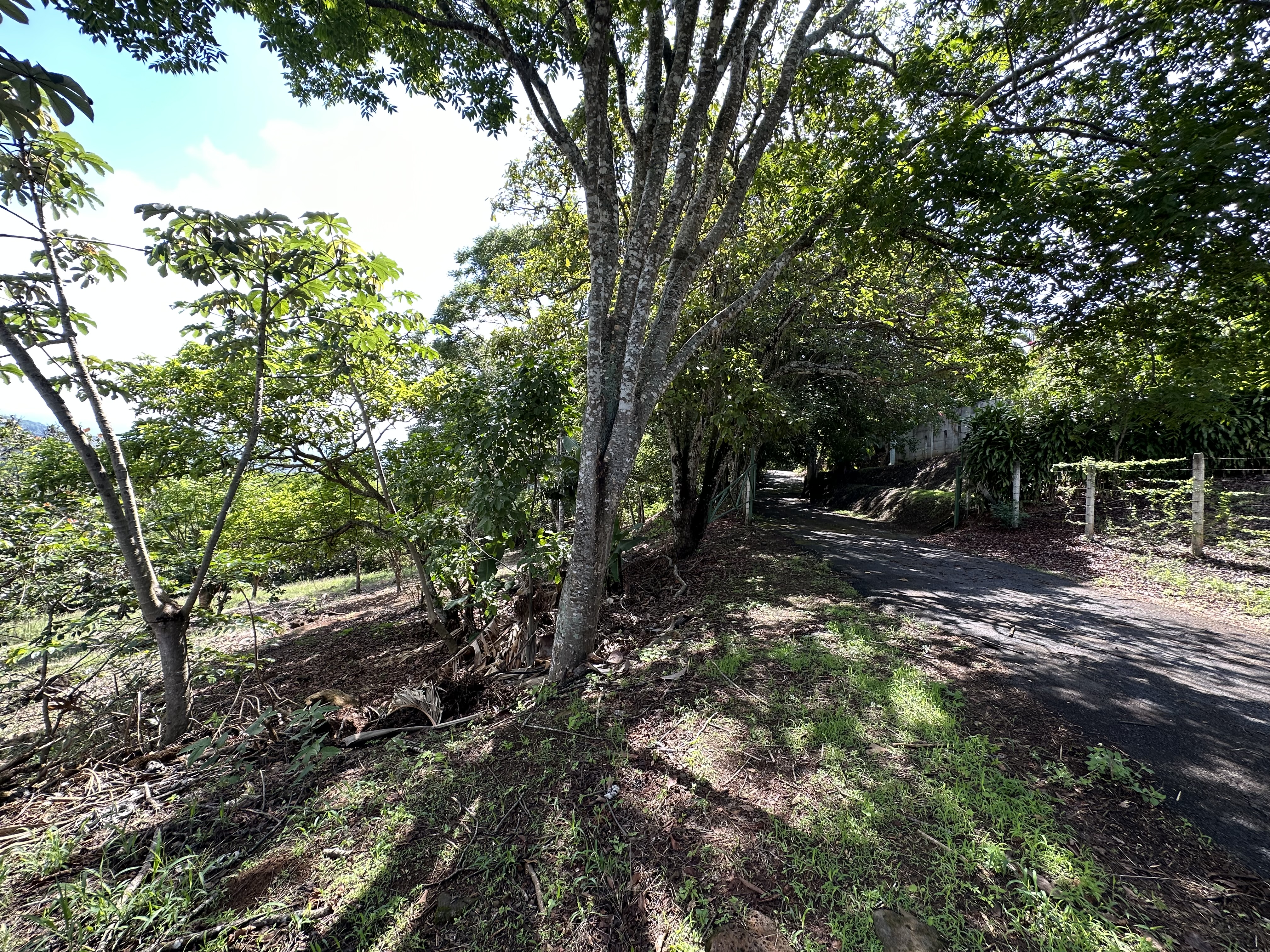 0 bed Land For Sale in Atenas, Alajuela - thumb 14
