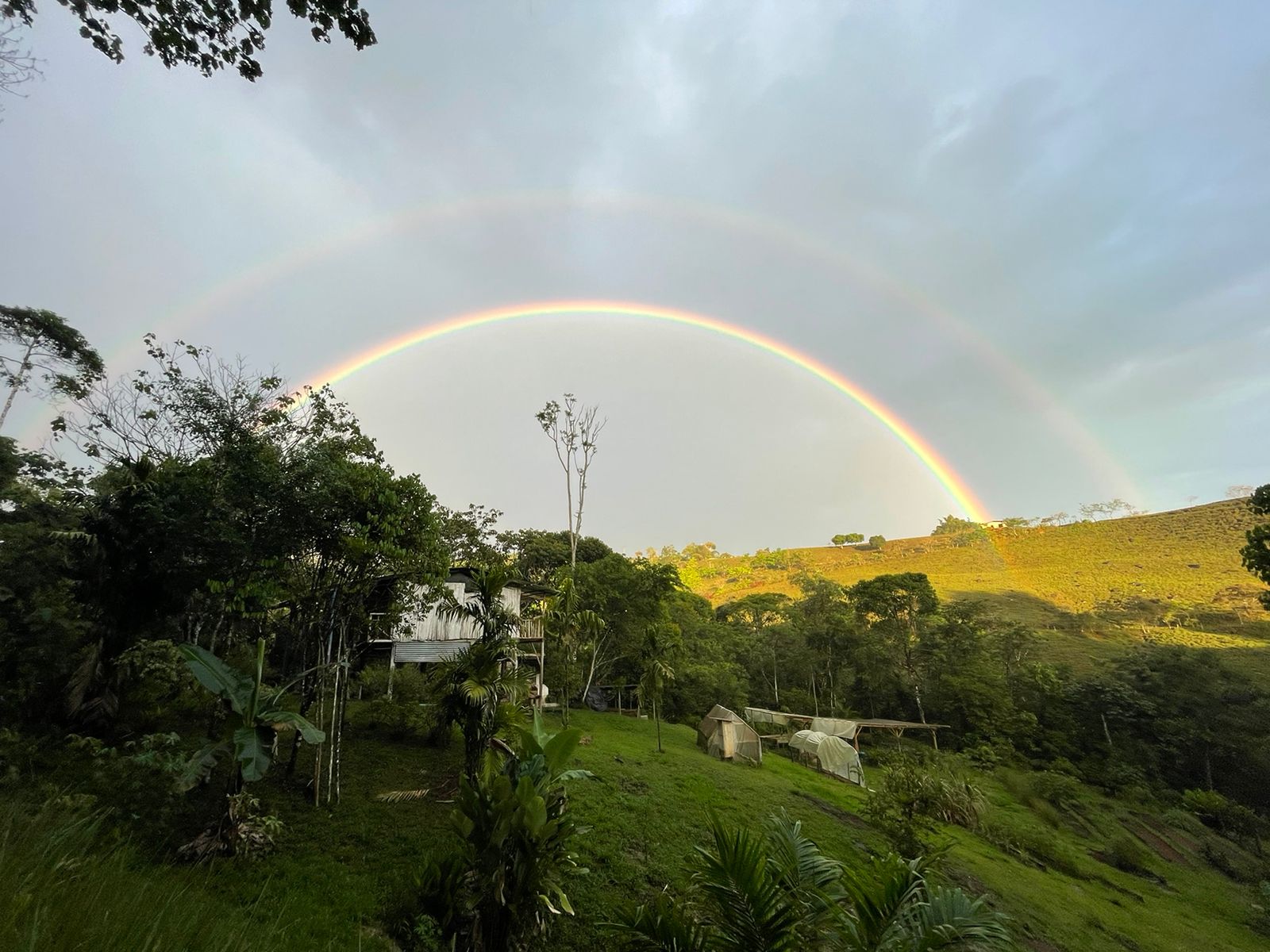 2 bed Single Family Homes For Sale in Perez Zeledon, San Jose - thumb 8