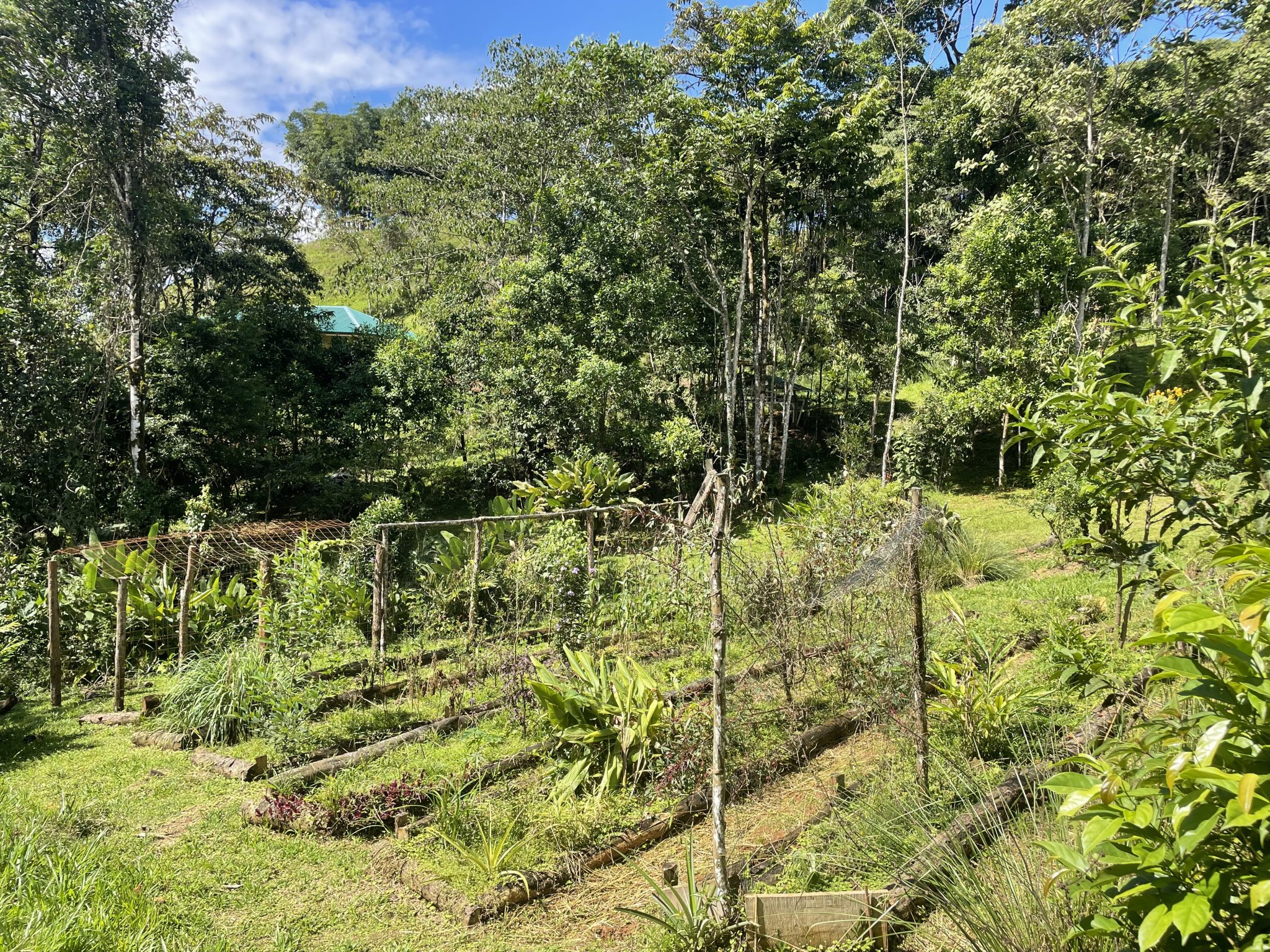 2 bed Single Family Homes For Sale in Perez Zeledon, San Jose - thumb 27