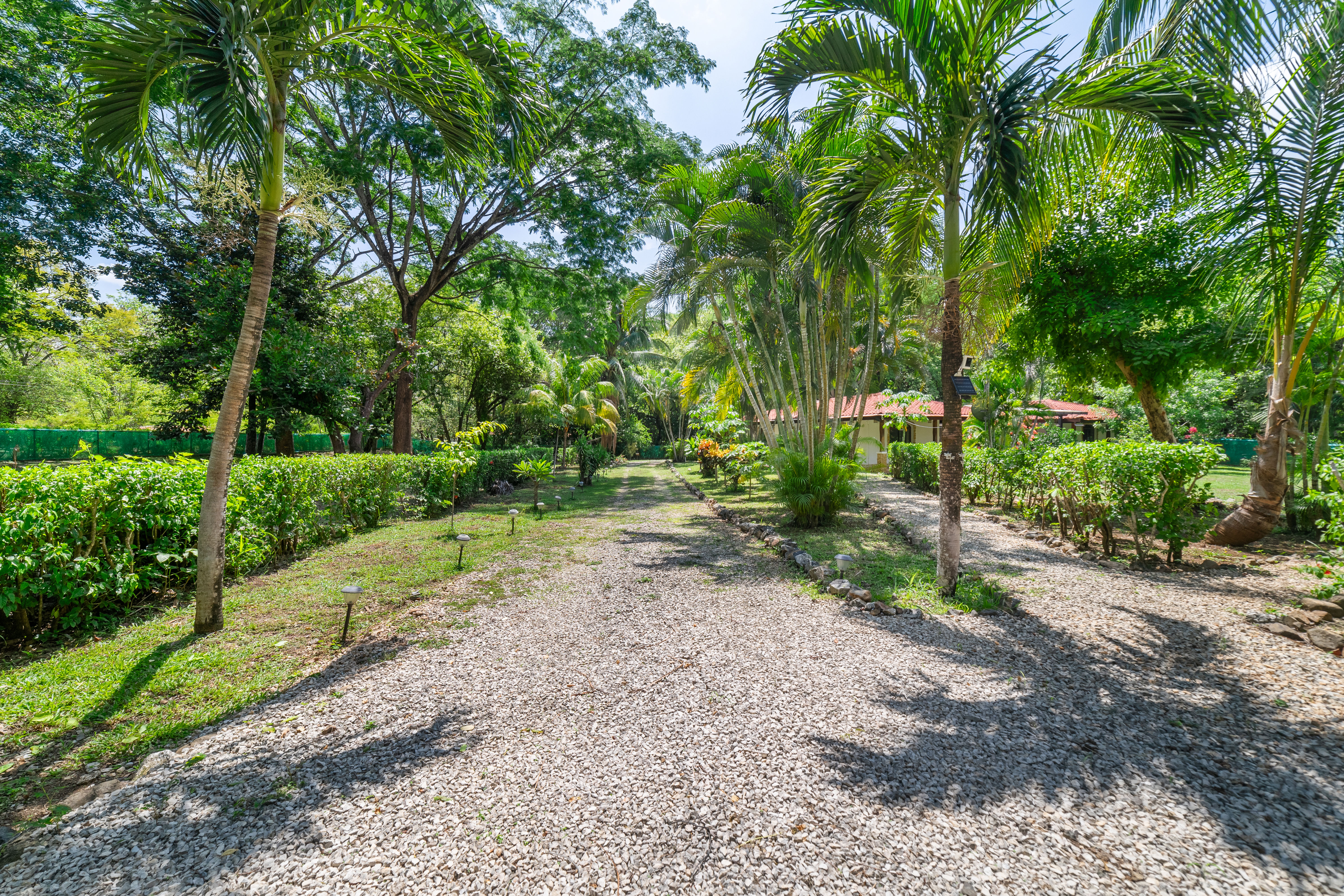 3 bed Single Family Homes For Sale in Junquillal, Guanacaste - thumb 28