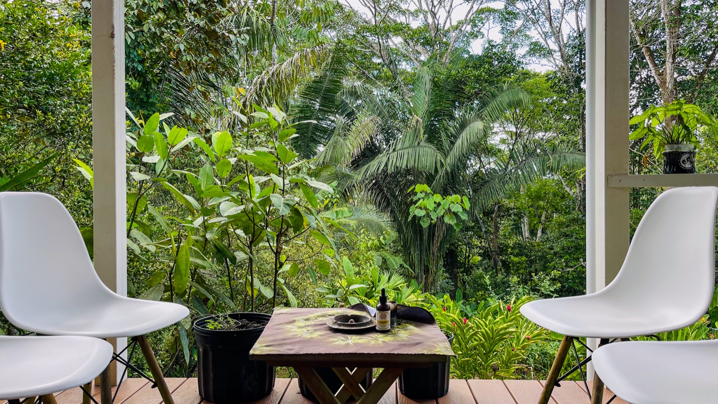 3 bed Single Family Homes For Sale in Puerto Jimenez, Puntarenas - thumb 23