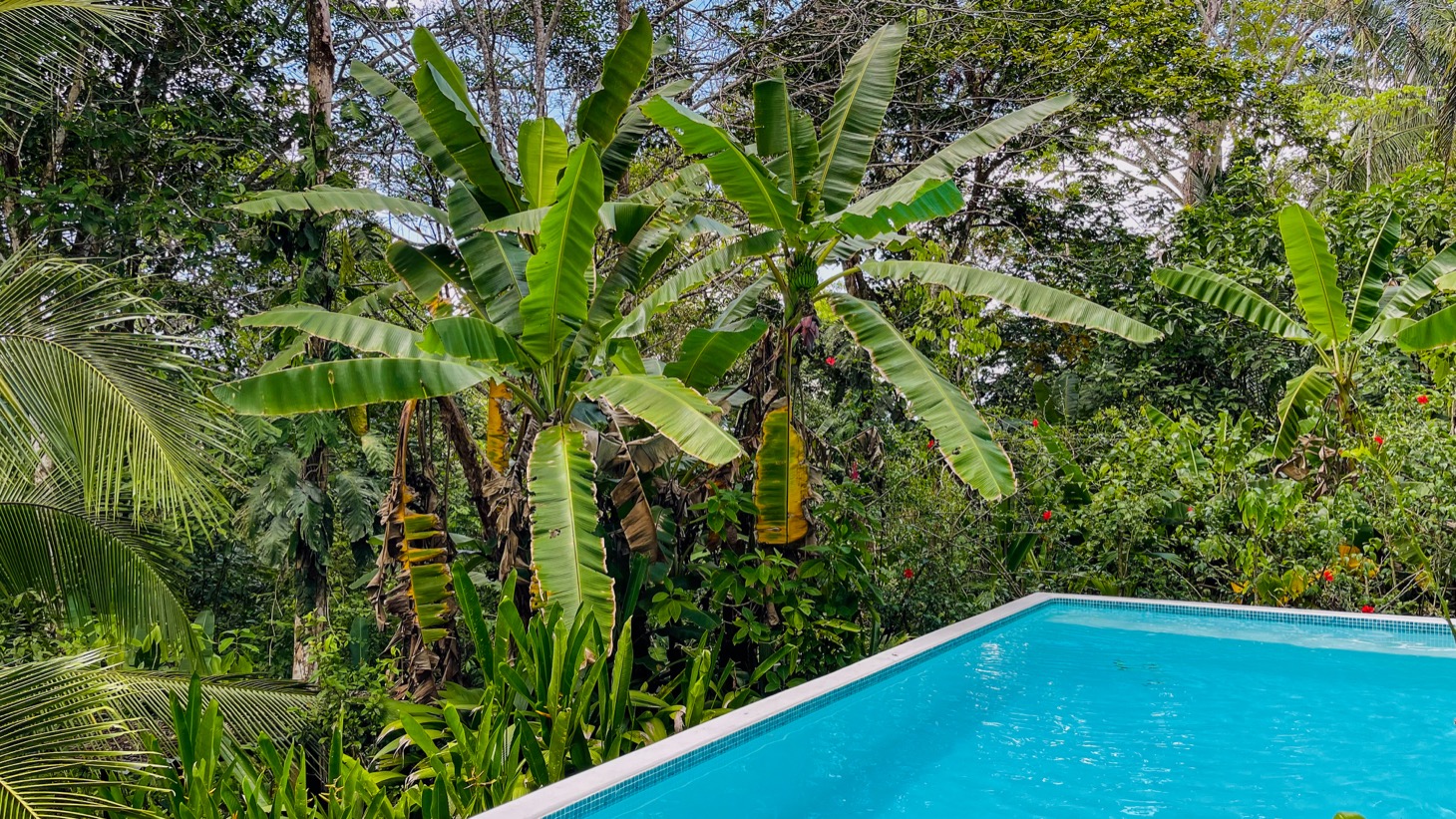 3 bed Single Family Homes For Sale in Puerto Jimenez, Puntarenas - thumb 22