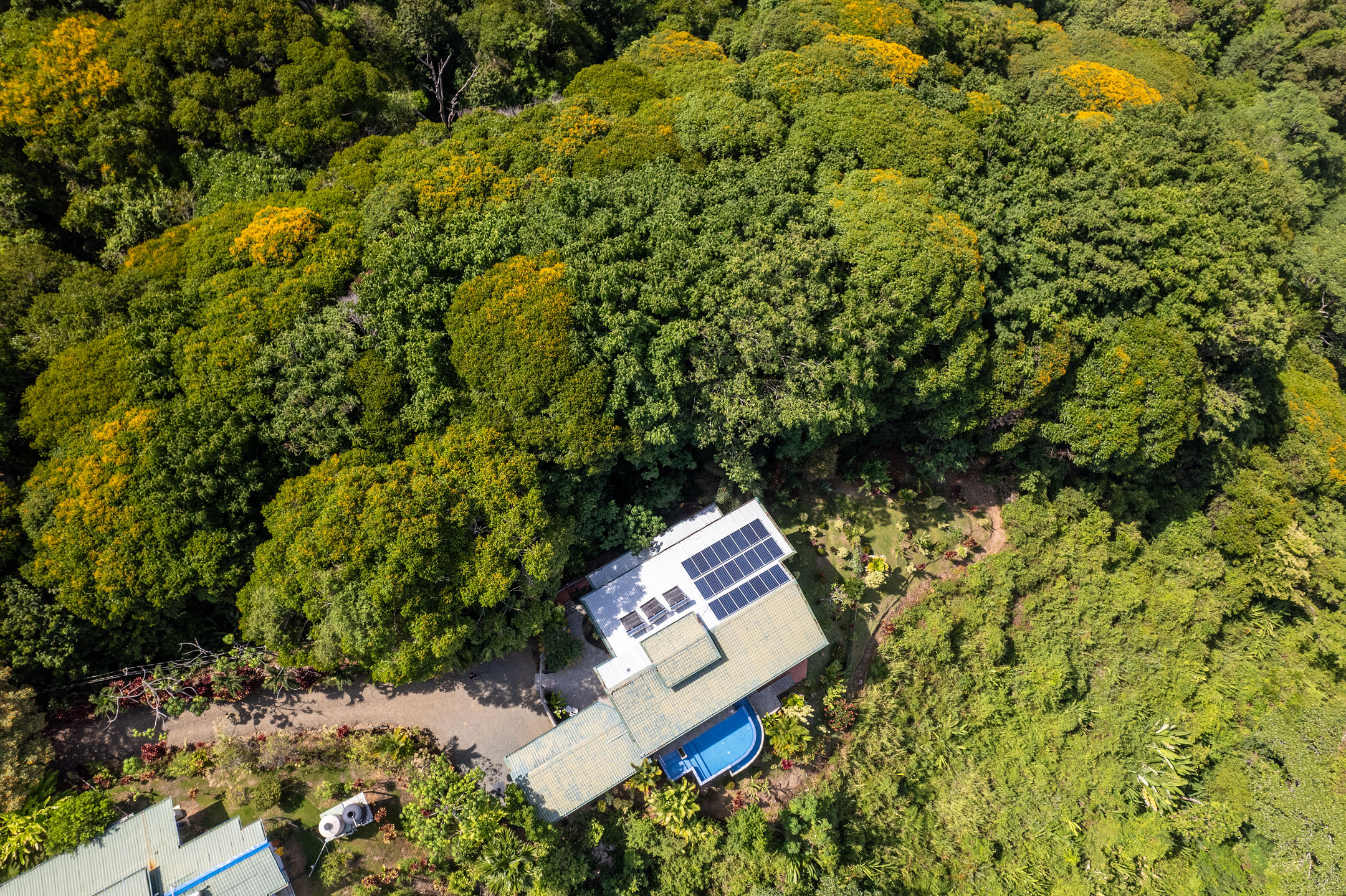 4 bed Single Family Homes For Sale in Dominical, Puntarenas - thumb 2