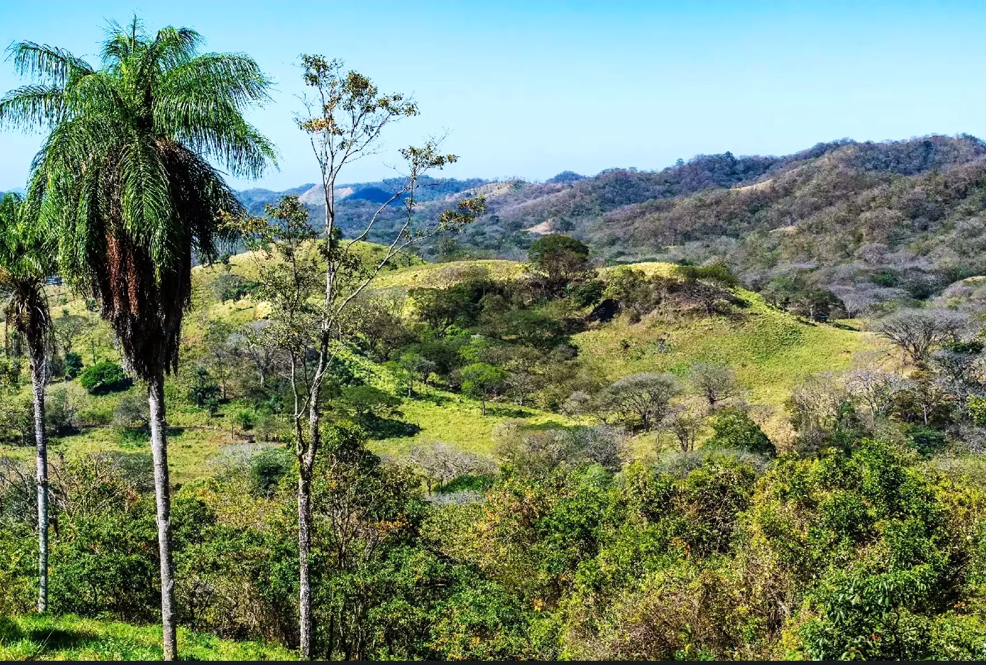 0 bed Land For Sale in Paquera, Puntarenas - thumb 2