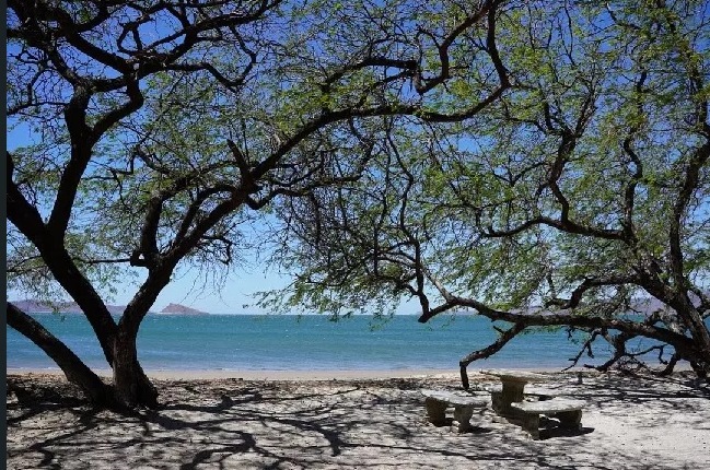 0 bed Land For Sale in Paquera, Puntarenas - thumb 6