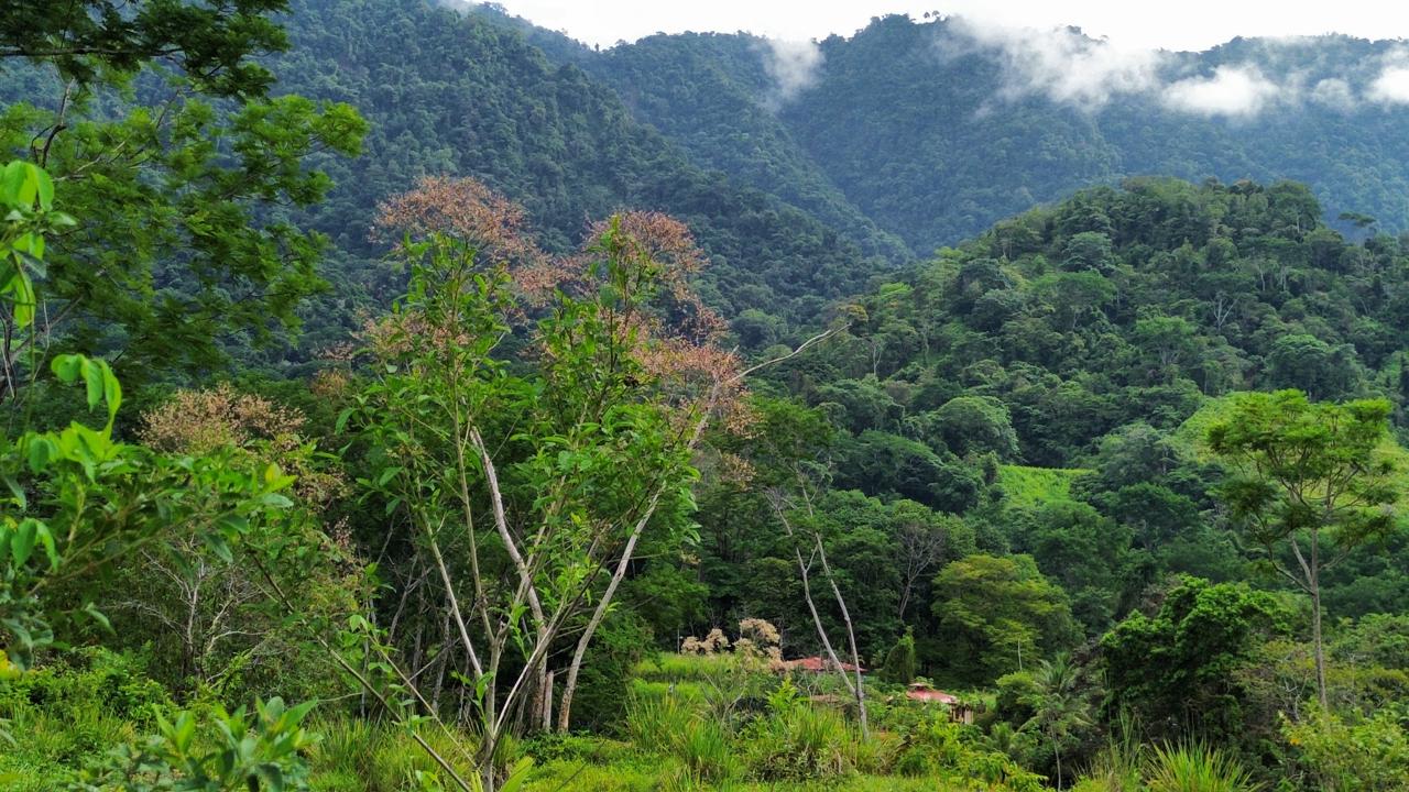 0 bed Land For Sale in Ojochal, Puntarenas - thumb 3