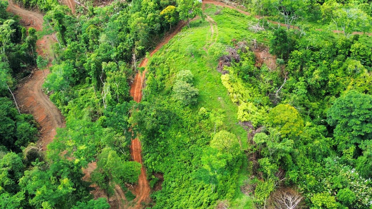 0 bed Land For Sale in Ojochal, Puntarenas - thumb 7