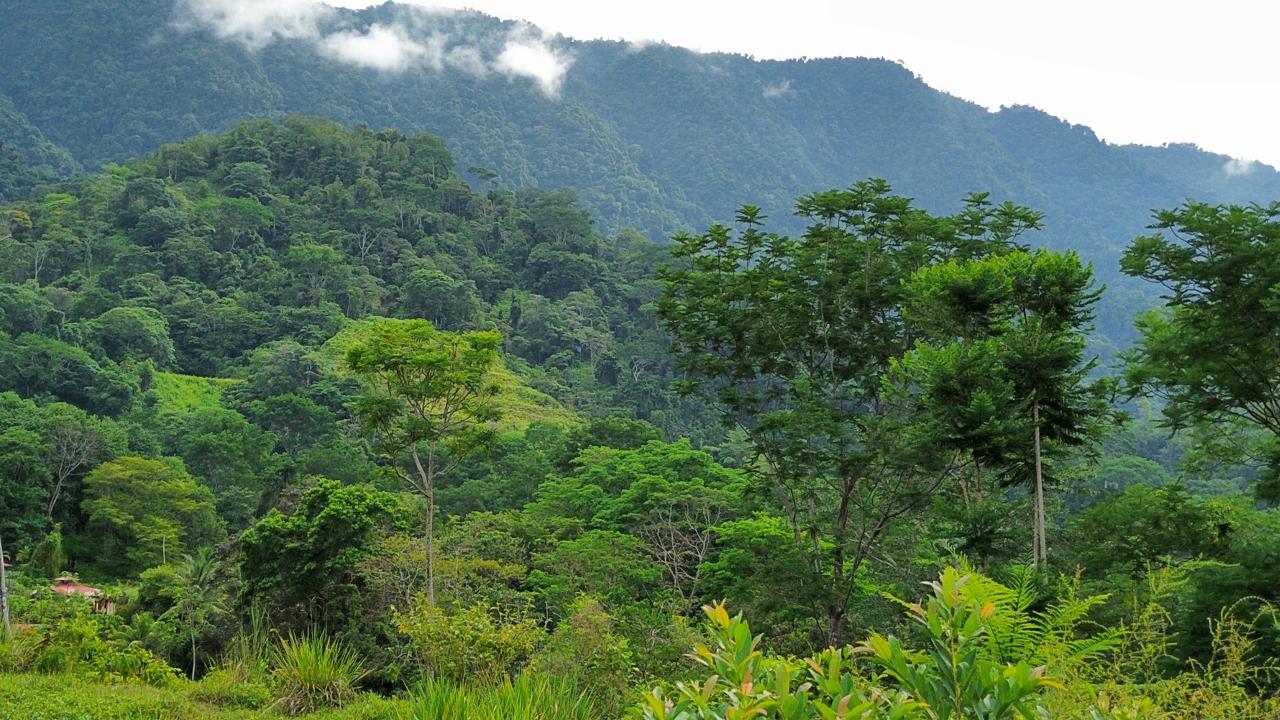 0 bed Land For Sale in Ojochal, Puntarenas - thumb 4