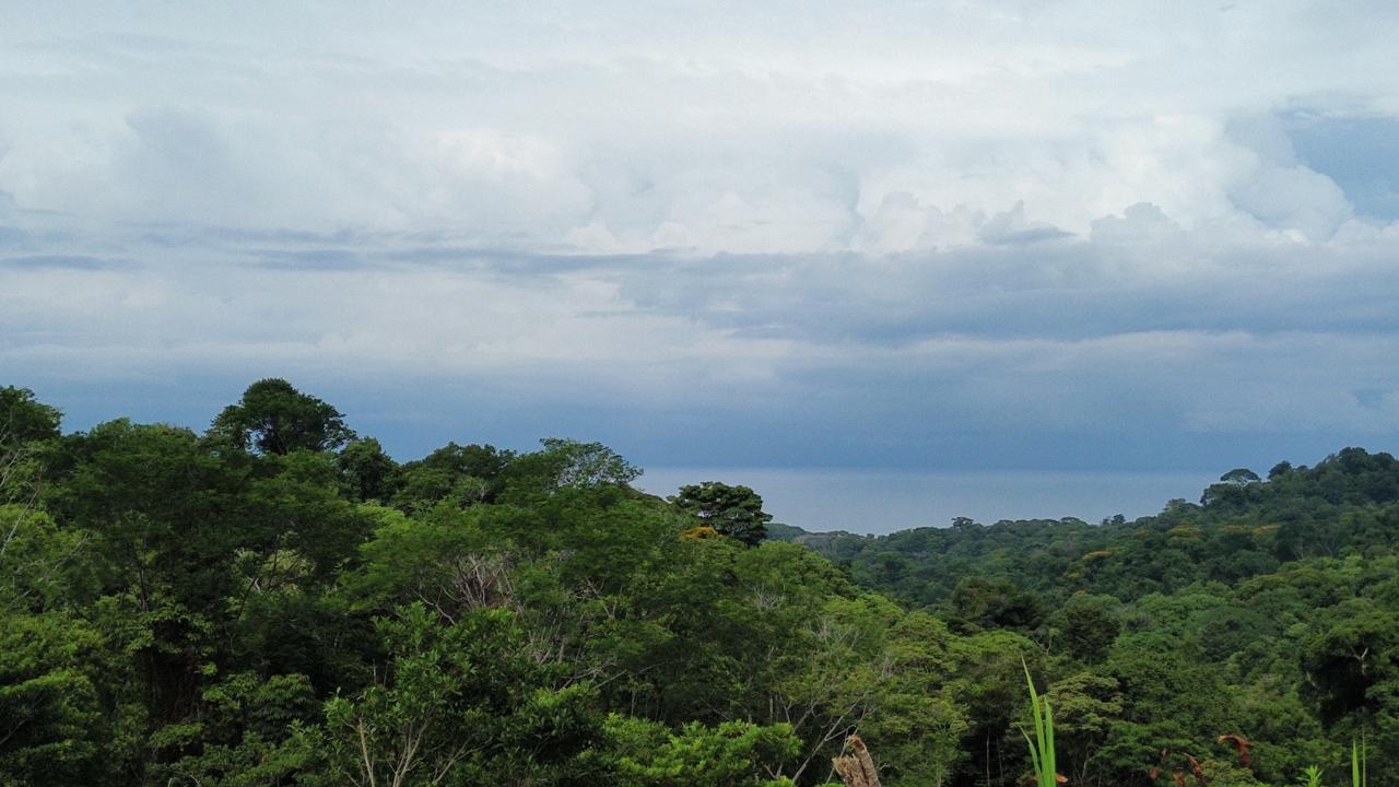 0 bed Land For Sale in Ojochal, Puntarenas - thumb 2