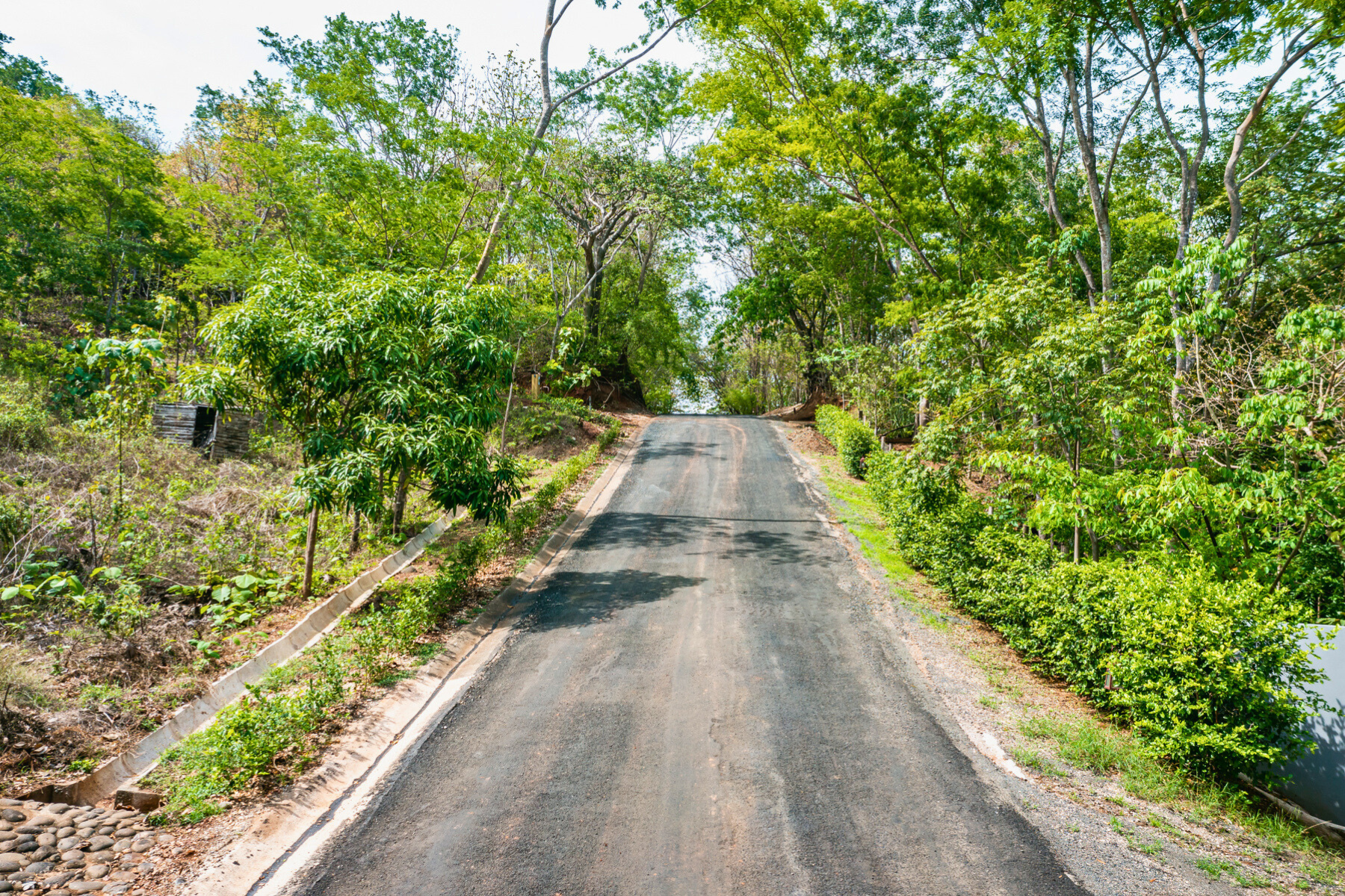 0 bed Land For Sale in Tamarindo, Guanacaste - thumb 7