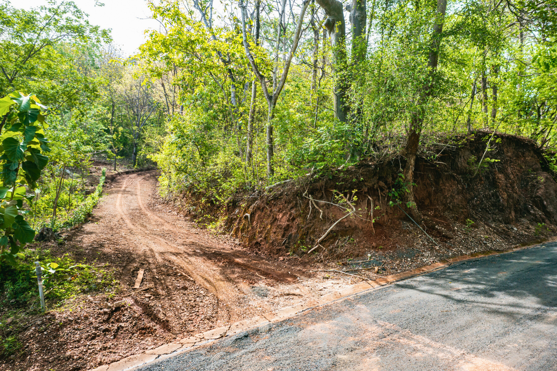 0 bed Land For Sale in Tamarindo, Guanacaste - thumb 8