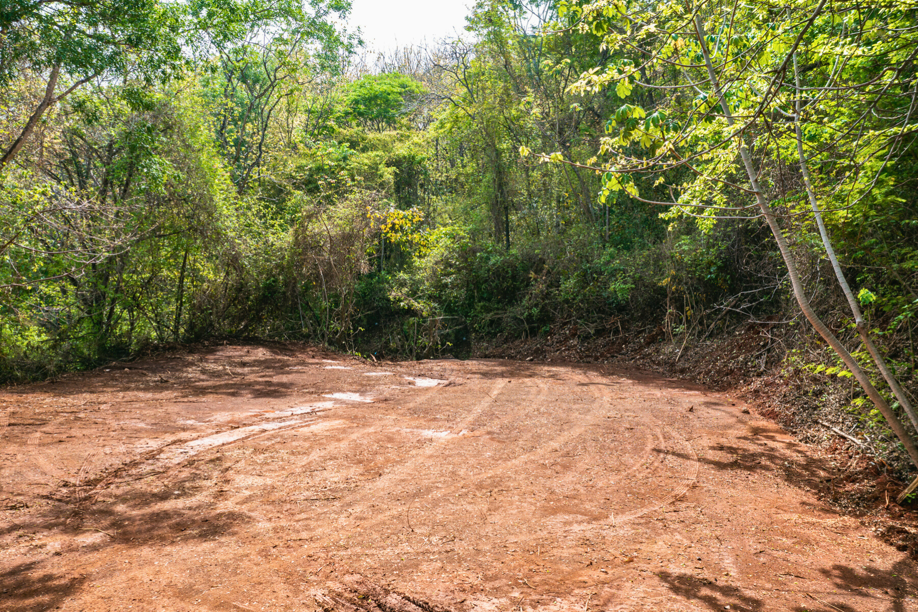 0 bed Land For Sale in Tamarindo, Guanacaste - thumb 9