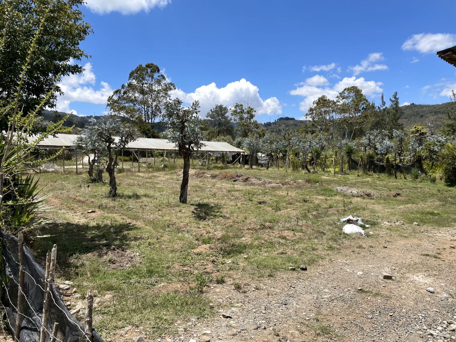 0 bed Land For Sale in Tobosi, Cartago - thumb 6