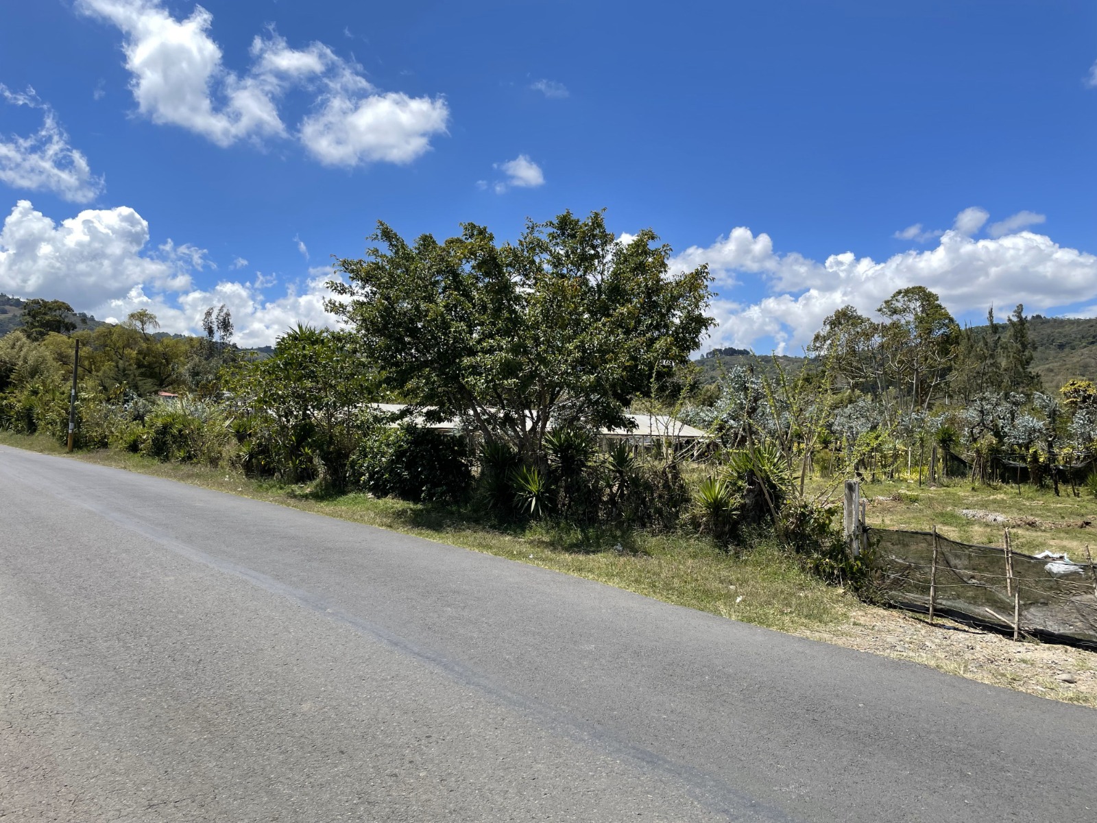 0 bed Land For Sale in Tobosi, Cartago - thumb 1
