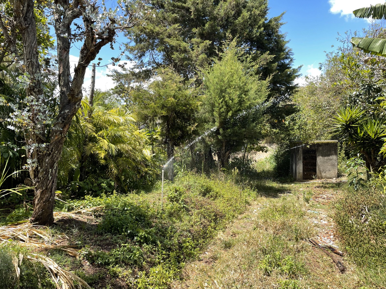 0 bed Land For Sale in Tobosi, Cartago - thumb 8