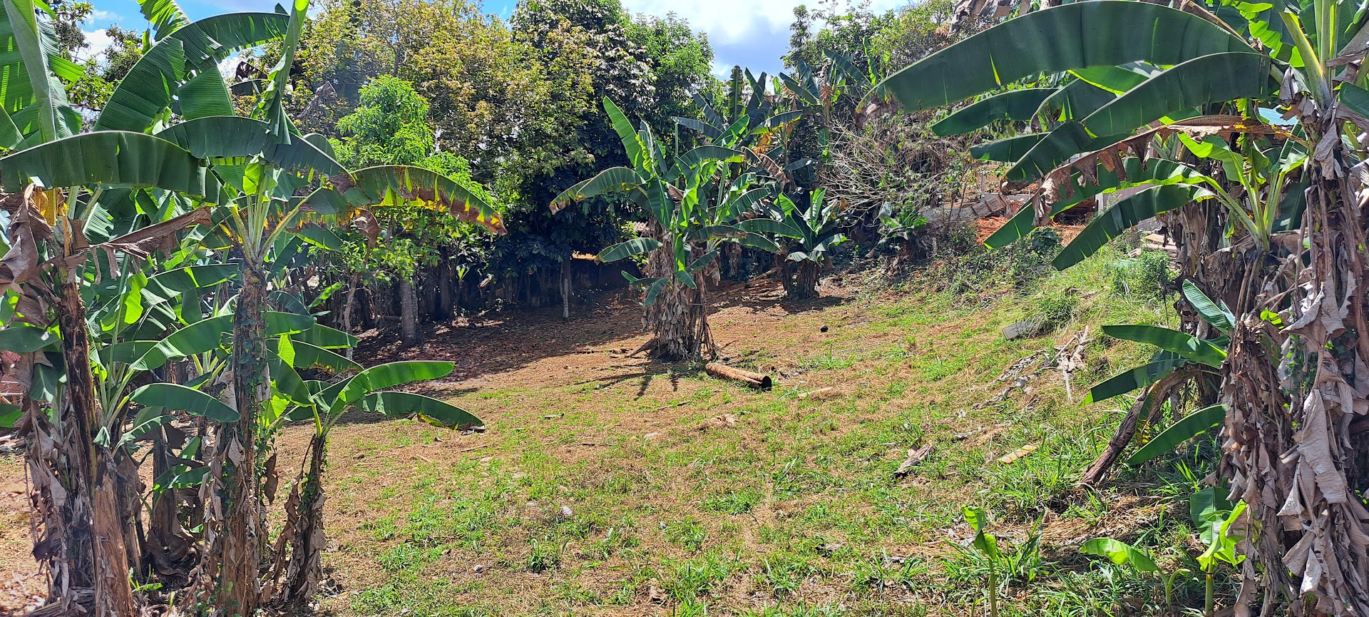 0 bed Land For Sale in Perez Zeledon, San Jose - thumb 4