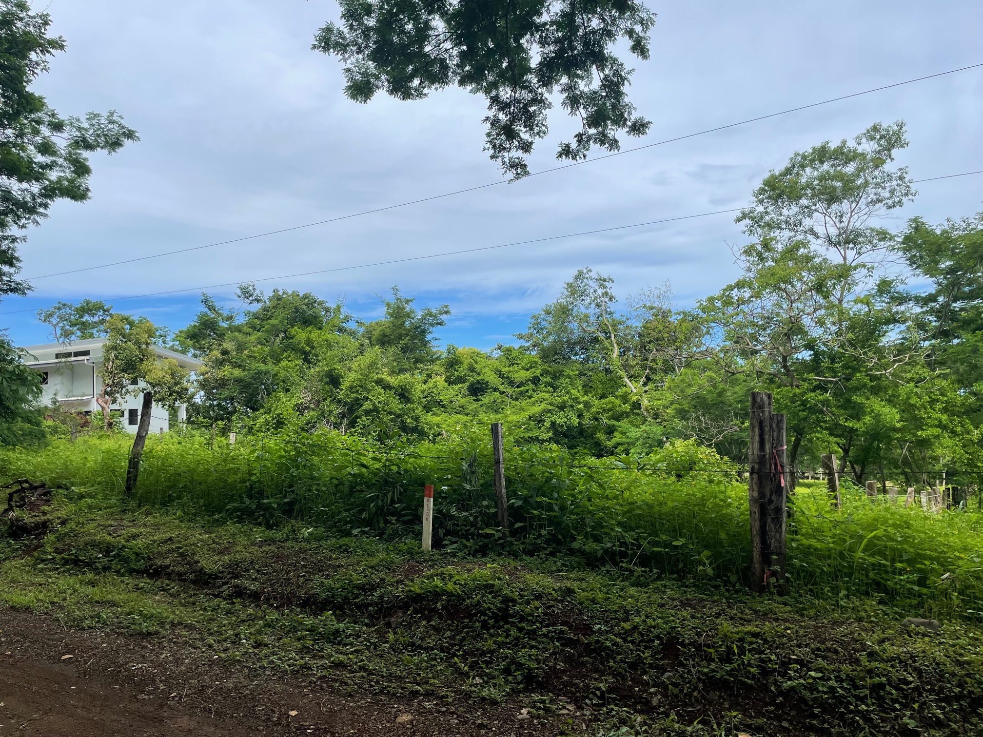 0 bed Land For Sale in San Jose De Pinilla, Guanacaste - thumb 4
