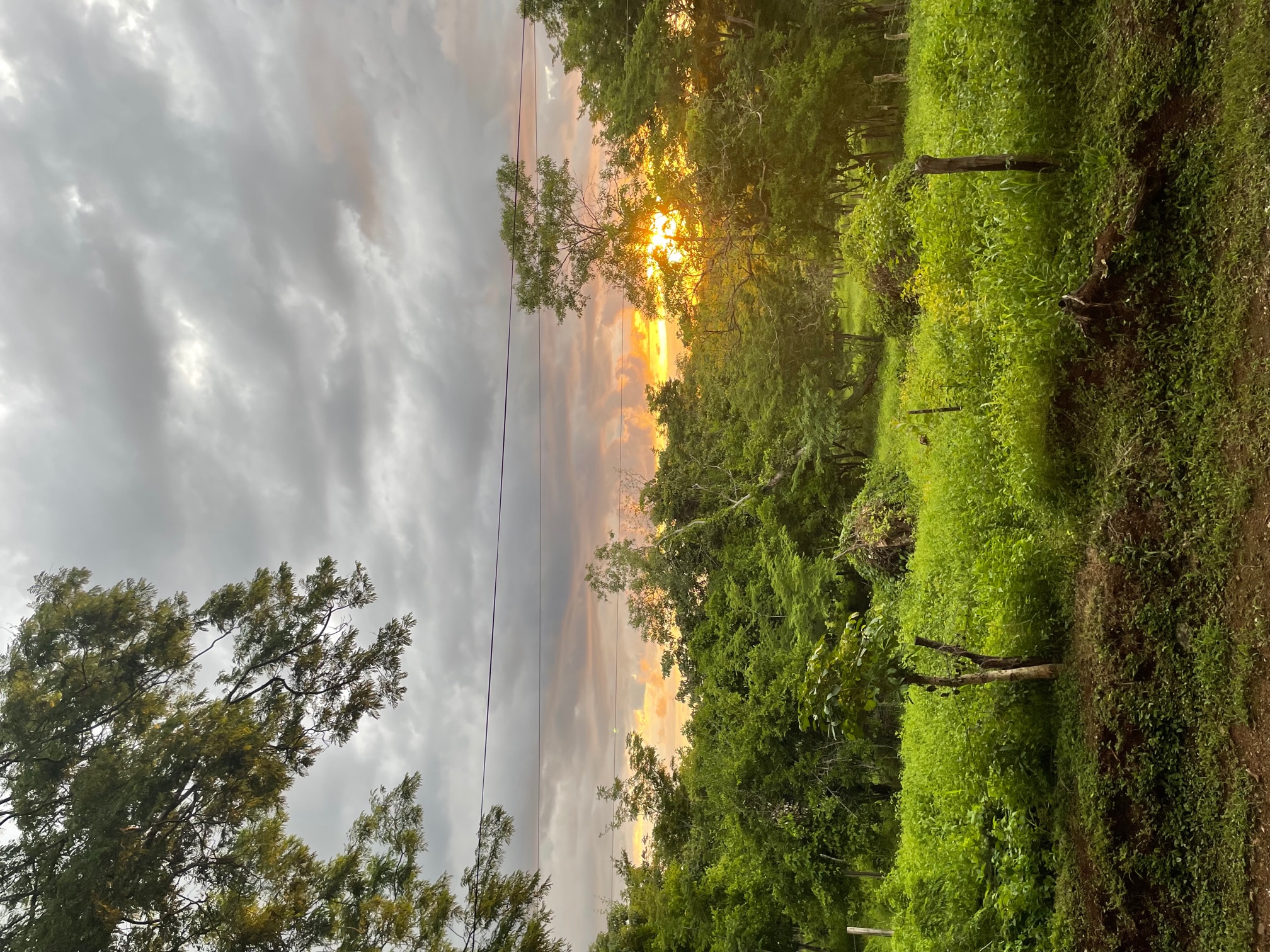 0 bed Land For Sale in San Jose De Pinilla, Guanacaste - thumb 1