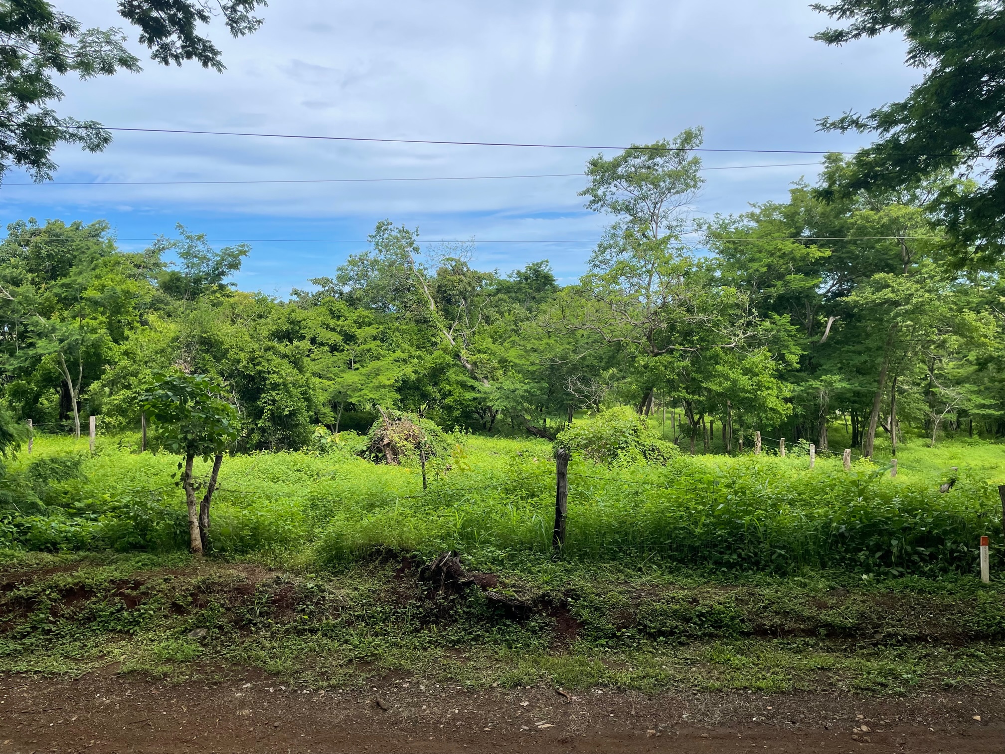 0 bed Land For Sale in San Jose De Pinilla, Guanacaste - thumb 6