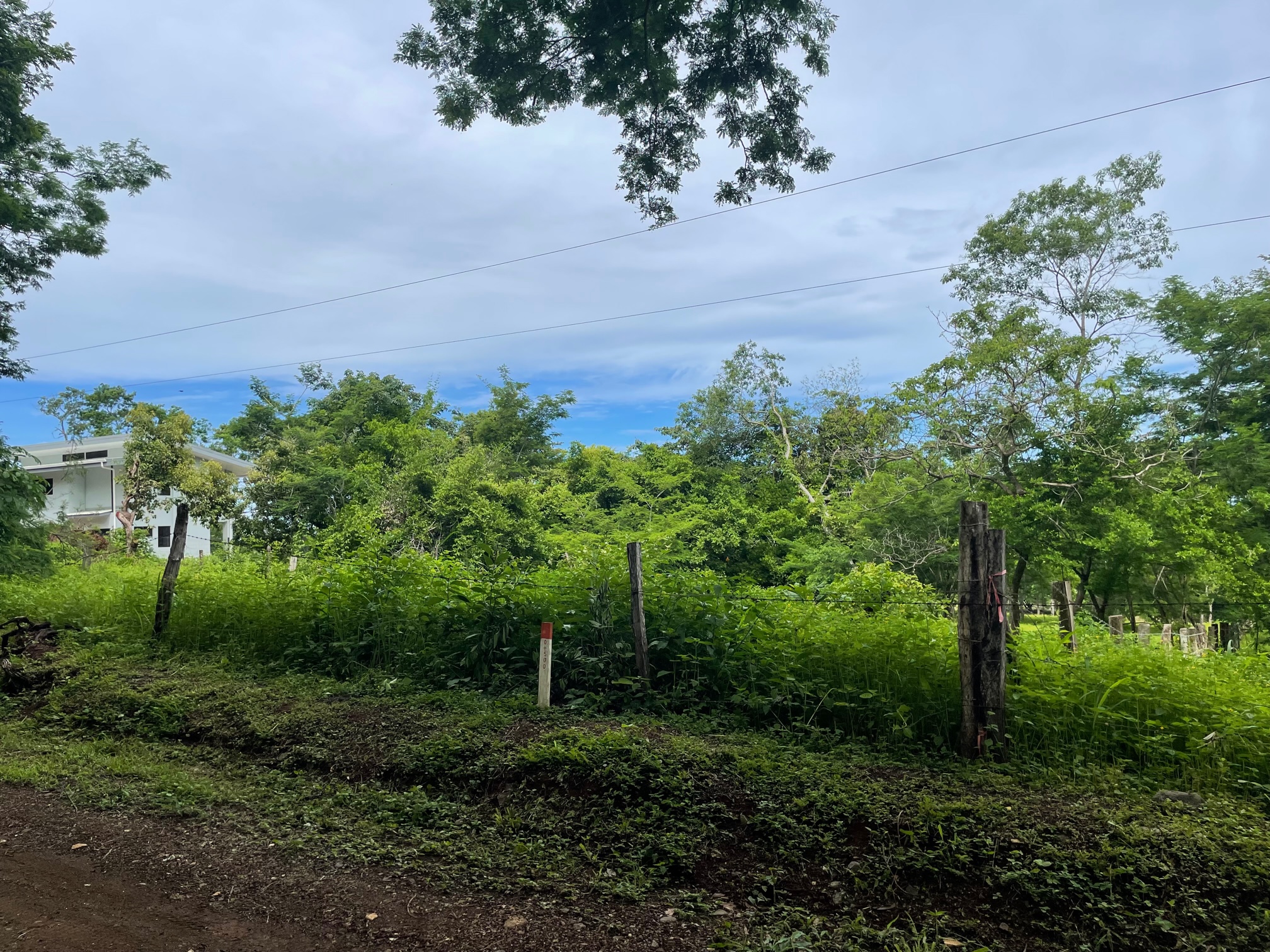 0 bed Land For Sale in San Jose De Pinilla, Guanacaste - thumb 5