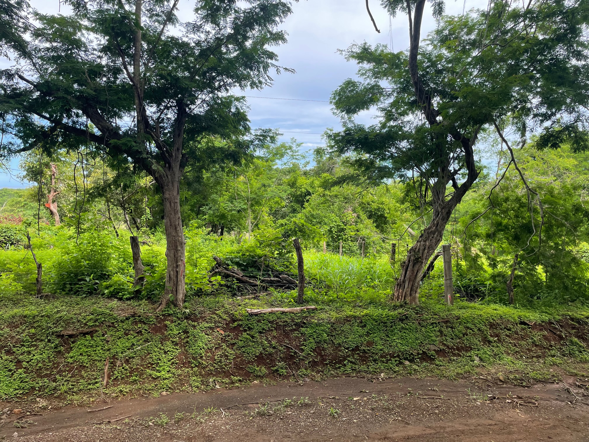 0 bed Land For Sale in San Jose De Pinilla, Guanacaste - thumb 3