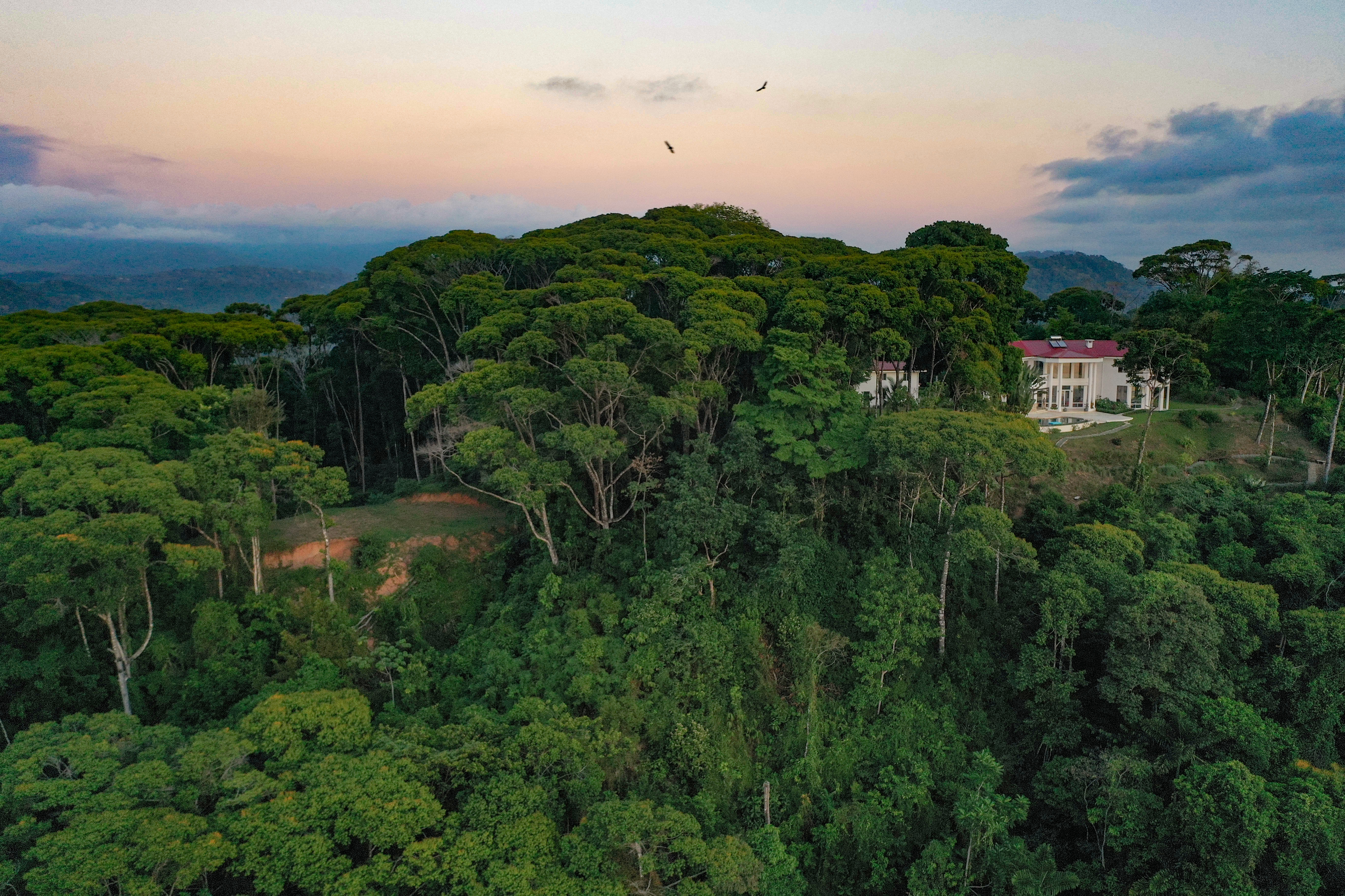 5 bed Single Family Homes For Sale in Dominical, Puntarenas - thumb 2