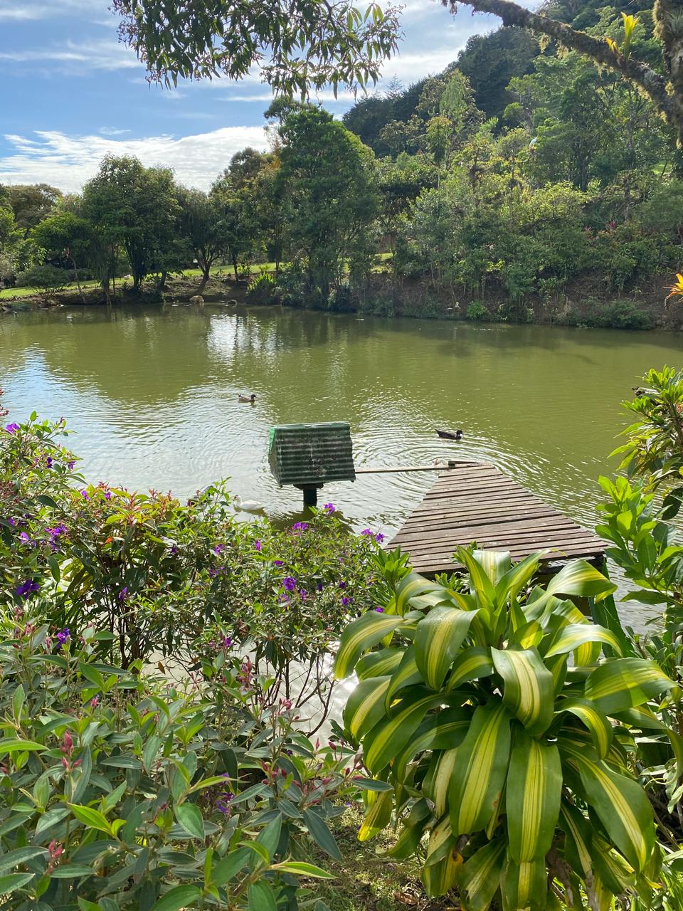 3 bed Land For Sale in El Tejar, Cartago - thumb 2