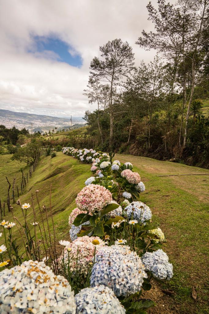 3 bed Land For Sale in El Tejar, Cartago - thumb 19