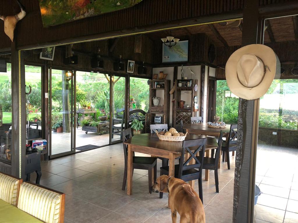 3 bed Land For Sale in El Tejar, Cartago - thumb 18