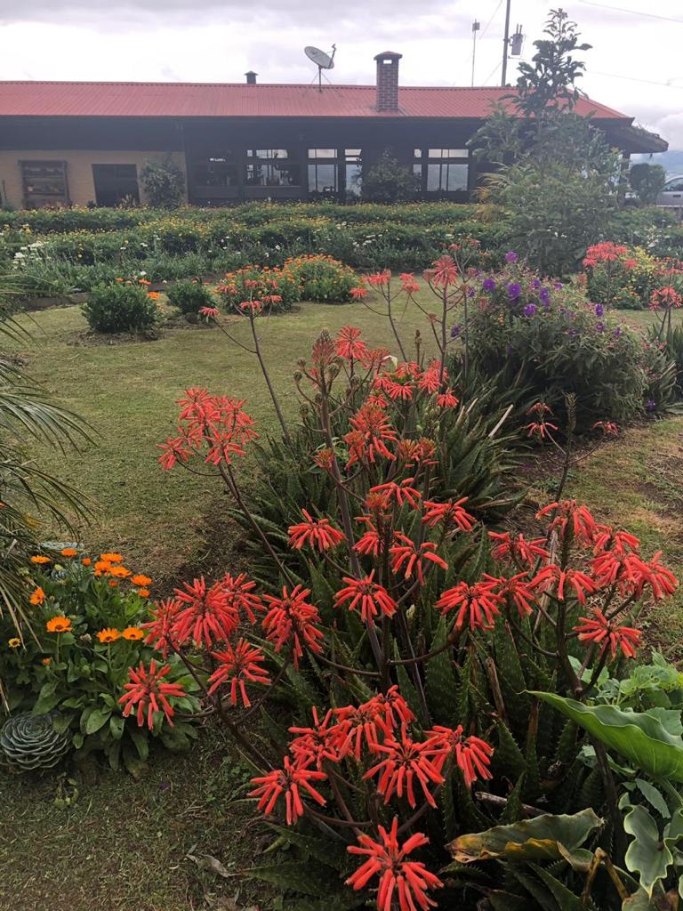 3 bed Land For Sale in El Tejar, Cartago - thumb 6