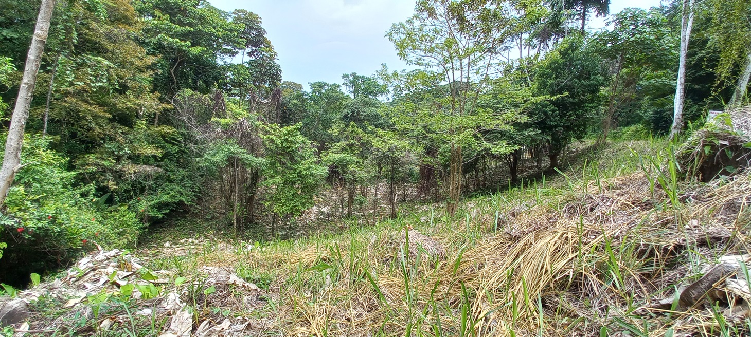 0 bed Single Family Homes For Sale in Ojochal, Puntarenas - thumb 8