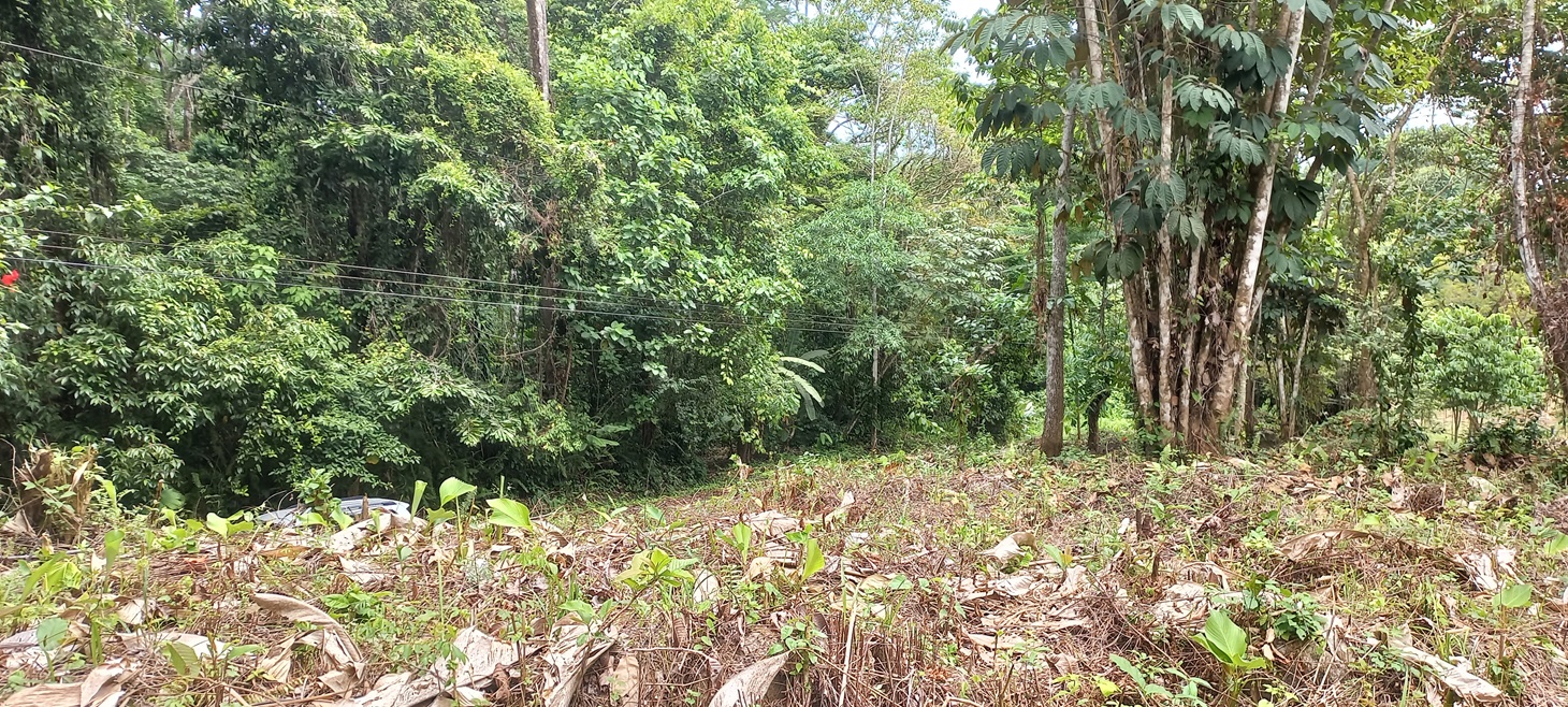 0 bed Single Family Homes For Sale in Ojochal, Puntarenas - thumb 5