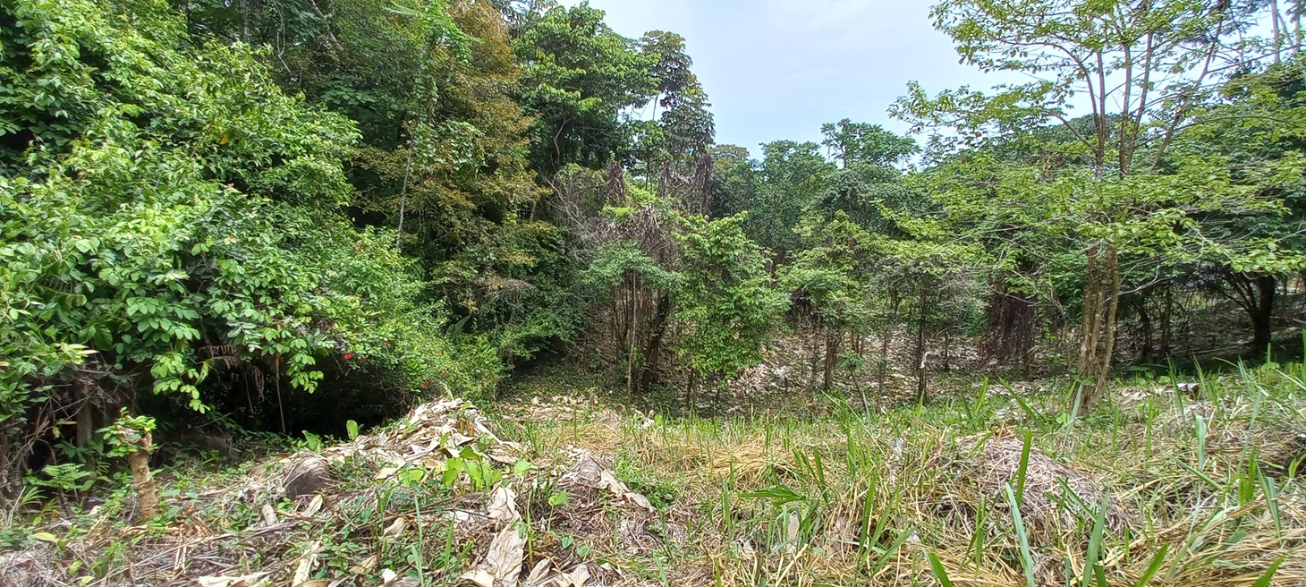 0 bed Single Family Homes For Sale in Ojochal, Puntarenas - thumb 7