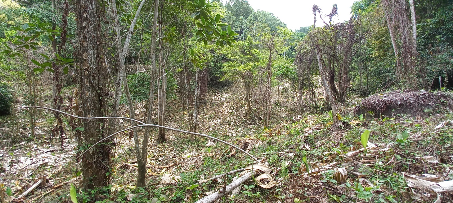 0 bed Single Family Homes For Sale in Ojochal, Puntarenas - thumb 12