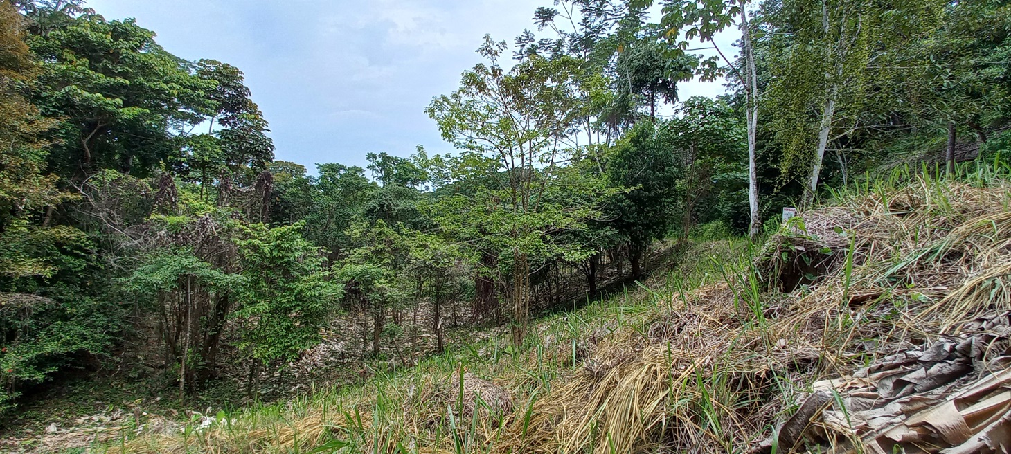 0 bed Single Family Homes For Sale in Ojochal, Puntarenas - thumb 13