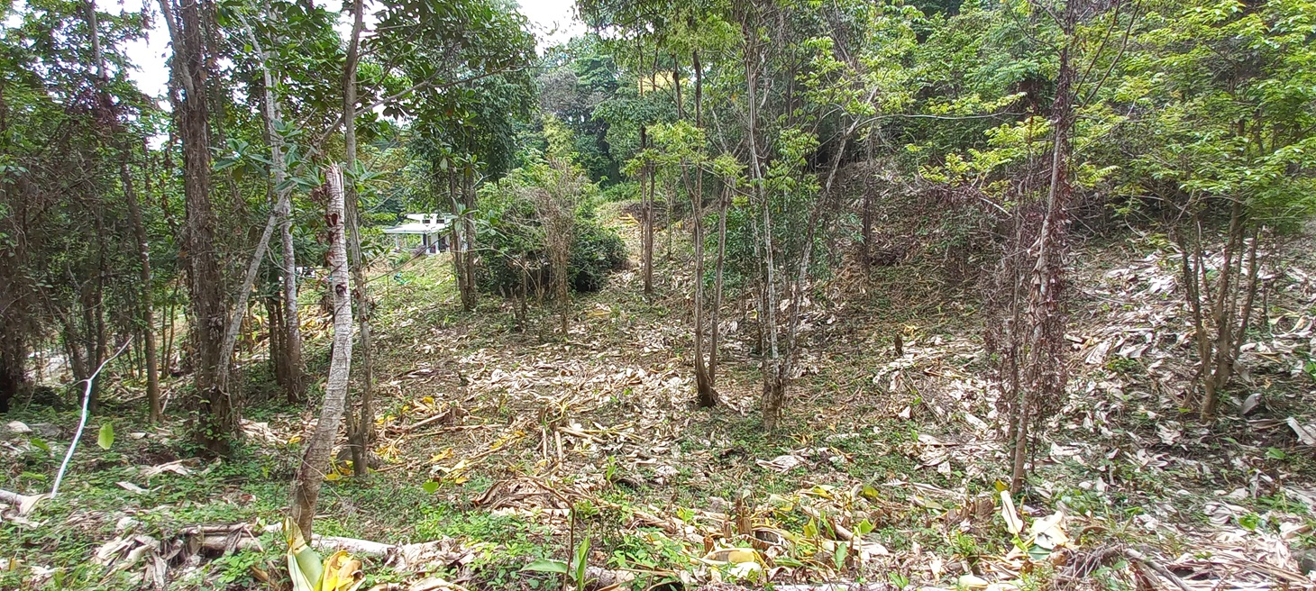 0 bed Single Family Homes For Sale in Ojochal, Puntarenas - thumb 11