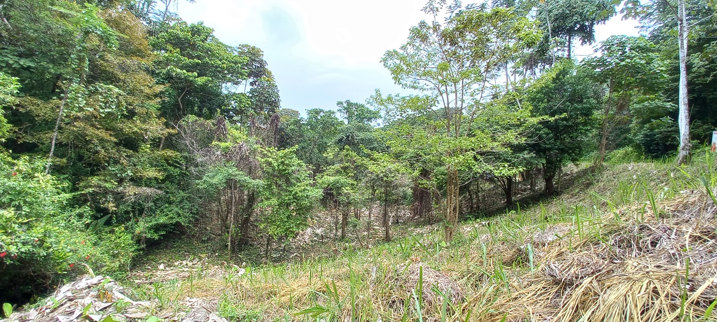 0 bed Single Family Homes For Sale in Ojochal, Puntarenas - thumb 6