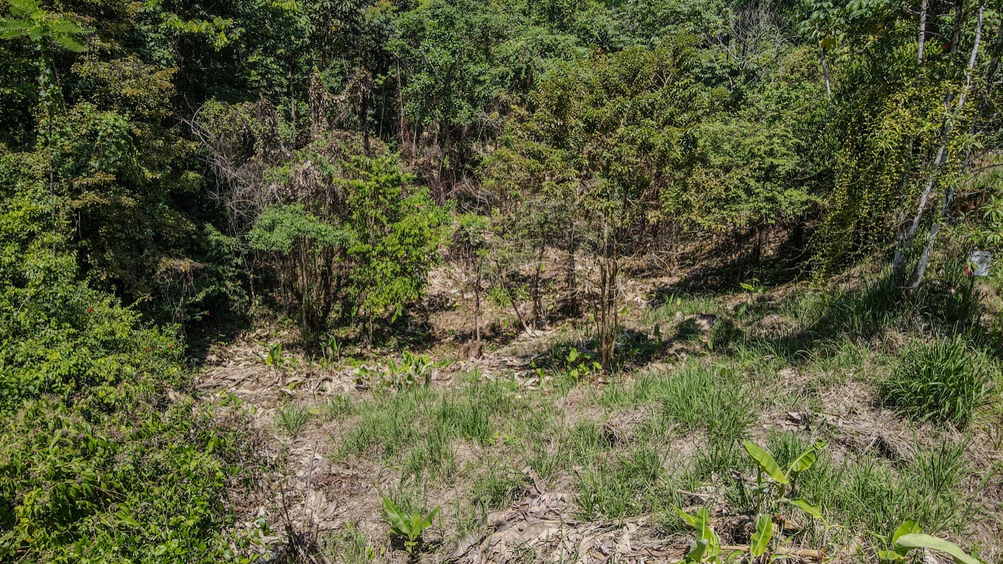 0 bed Single Family Homes For Sale in Ojochal, Puntarenas - thumb 3