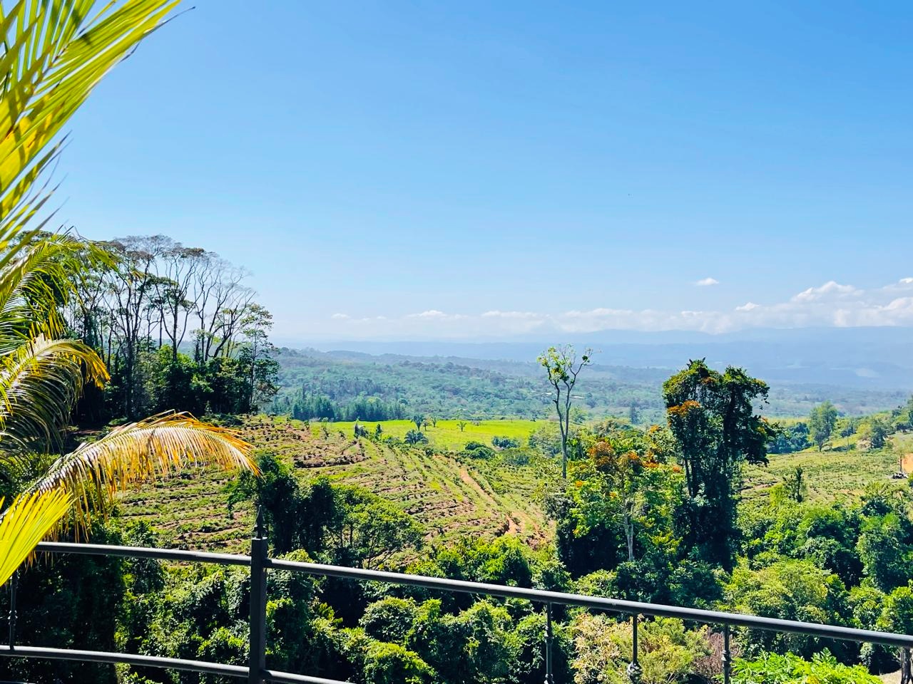 3 bed Single Family Homes For Sale in Perez Zeledon, San Jose - thumb 11