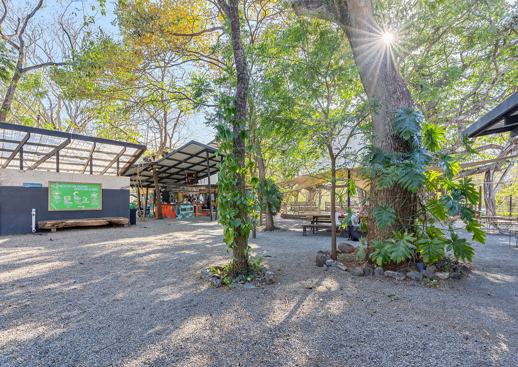 0 bed Commercial For Sale in Avellanas, Guanacaste - thumb 3