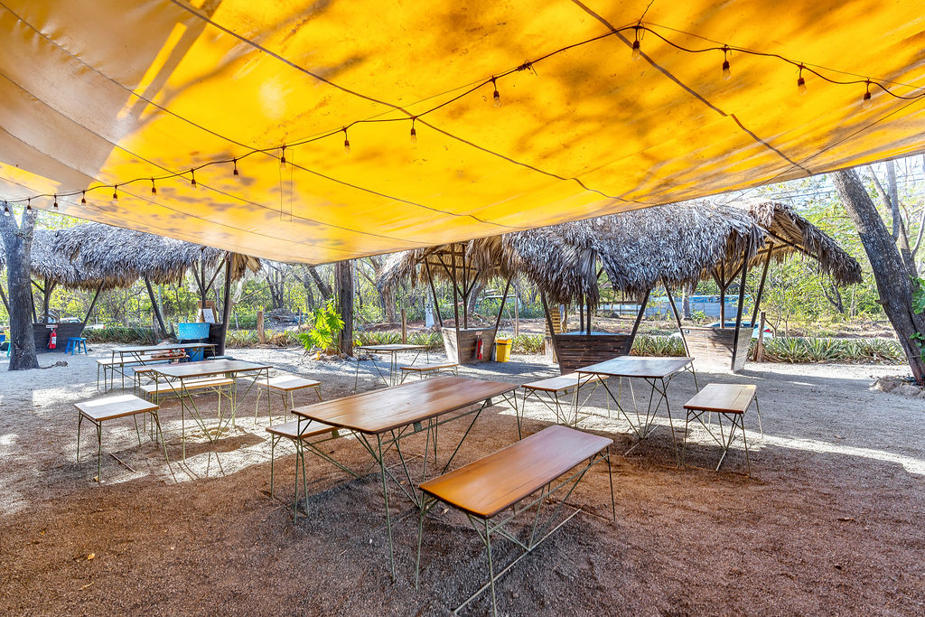 0 bed Commercial For Sale in Avellanas, Guanacaste - thumb 13