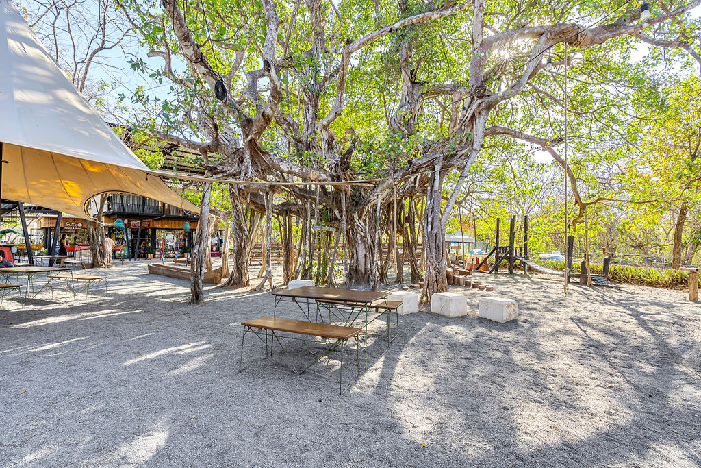 0 bed Commercial For Sale in Avellanas, Guanacaste - thumb 10