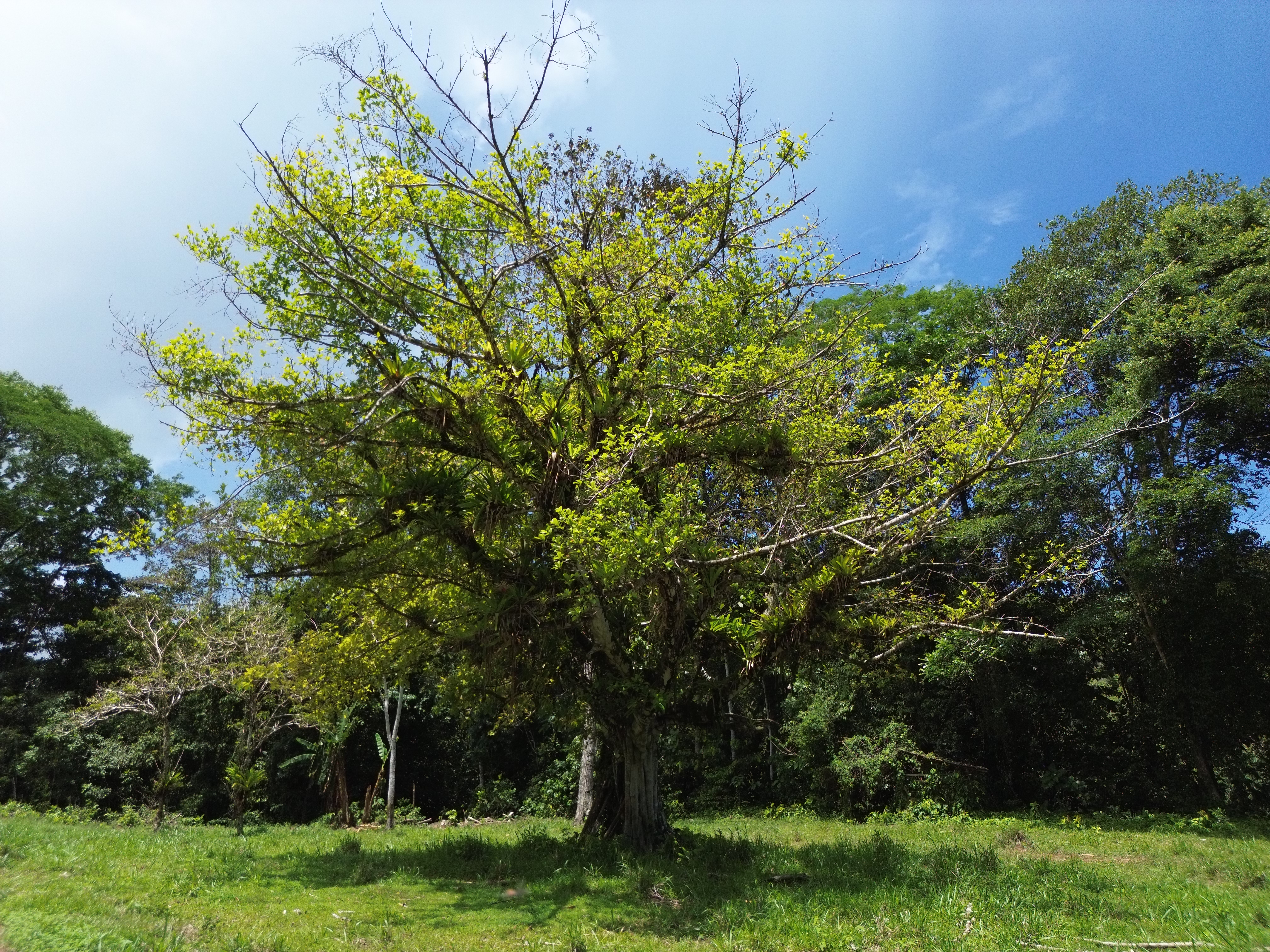 0 bed Land For Sale in Dominical, Puntarenas - thumb 19