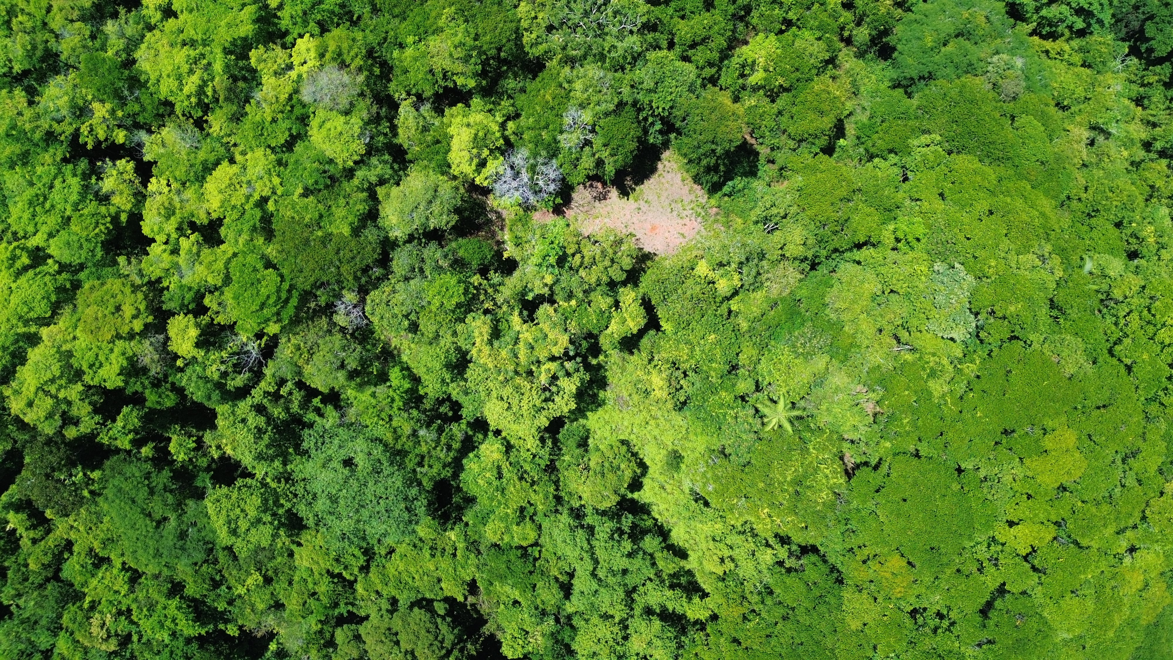 0 bed Land For Sale in Dominical, Puntarenas - thumb 13