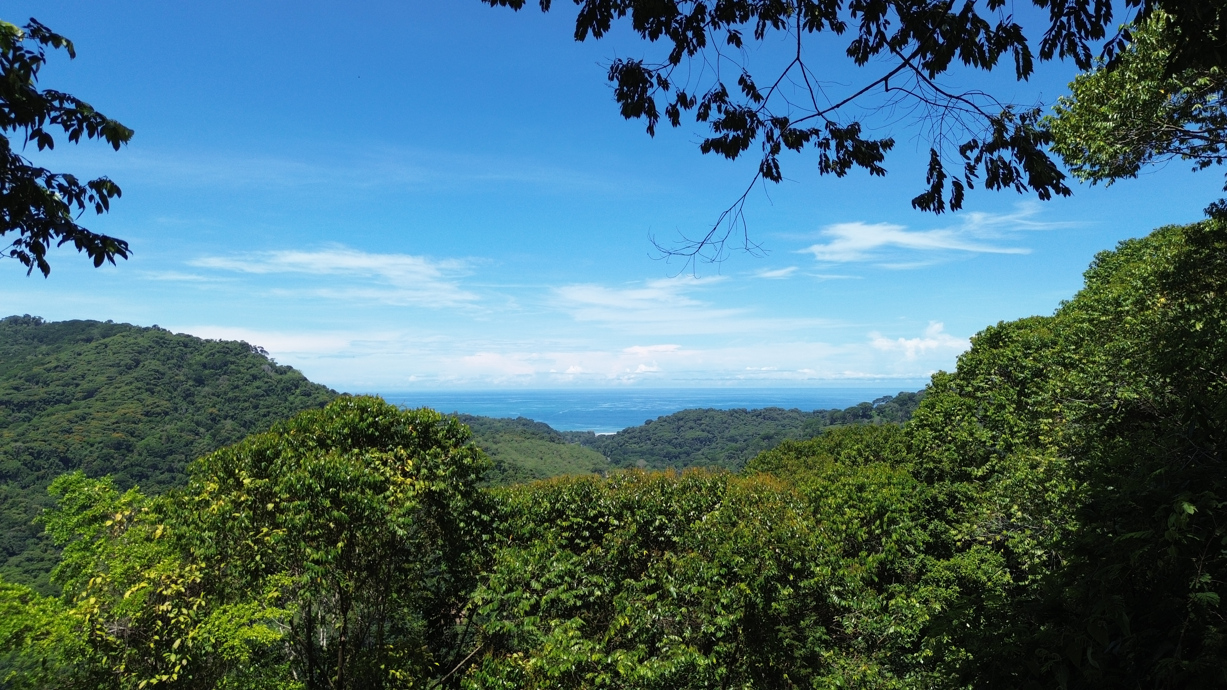 0 bed Land For Sale in Dominical, Puntarenas - thumb 16