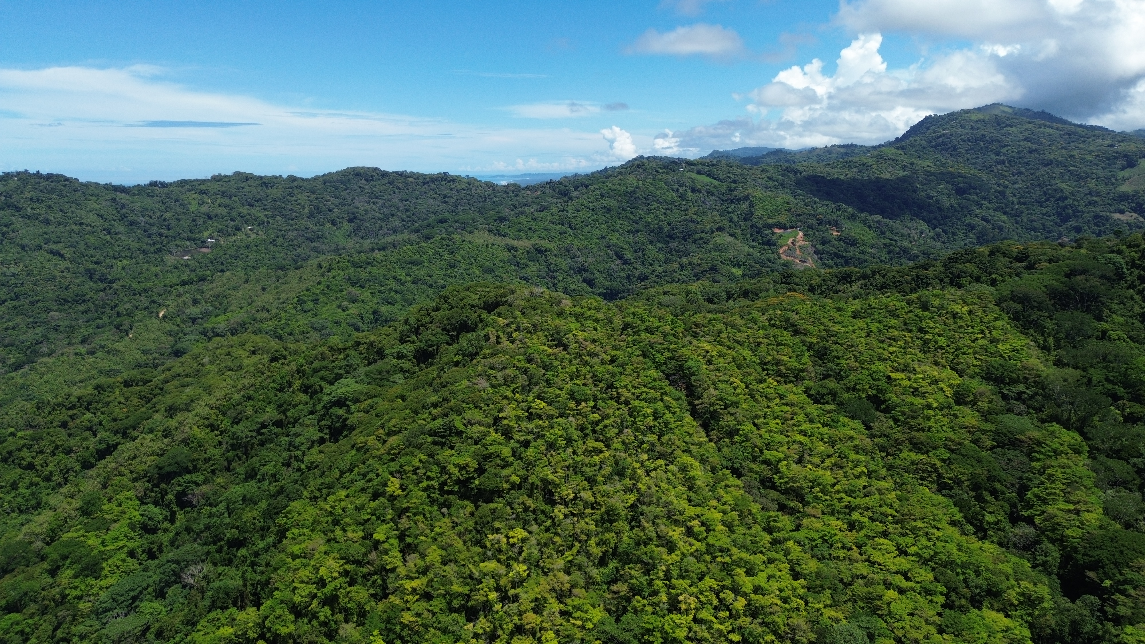 0 bed Land For Sale in Dominical, Puntarenas - thumb 9
