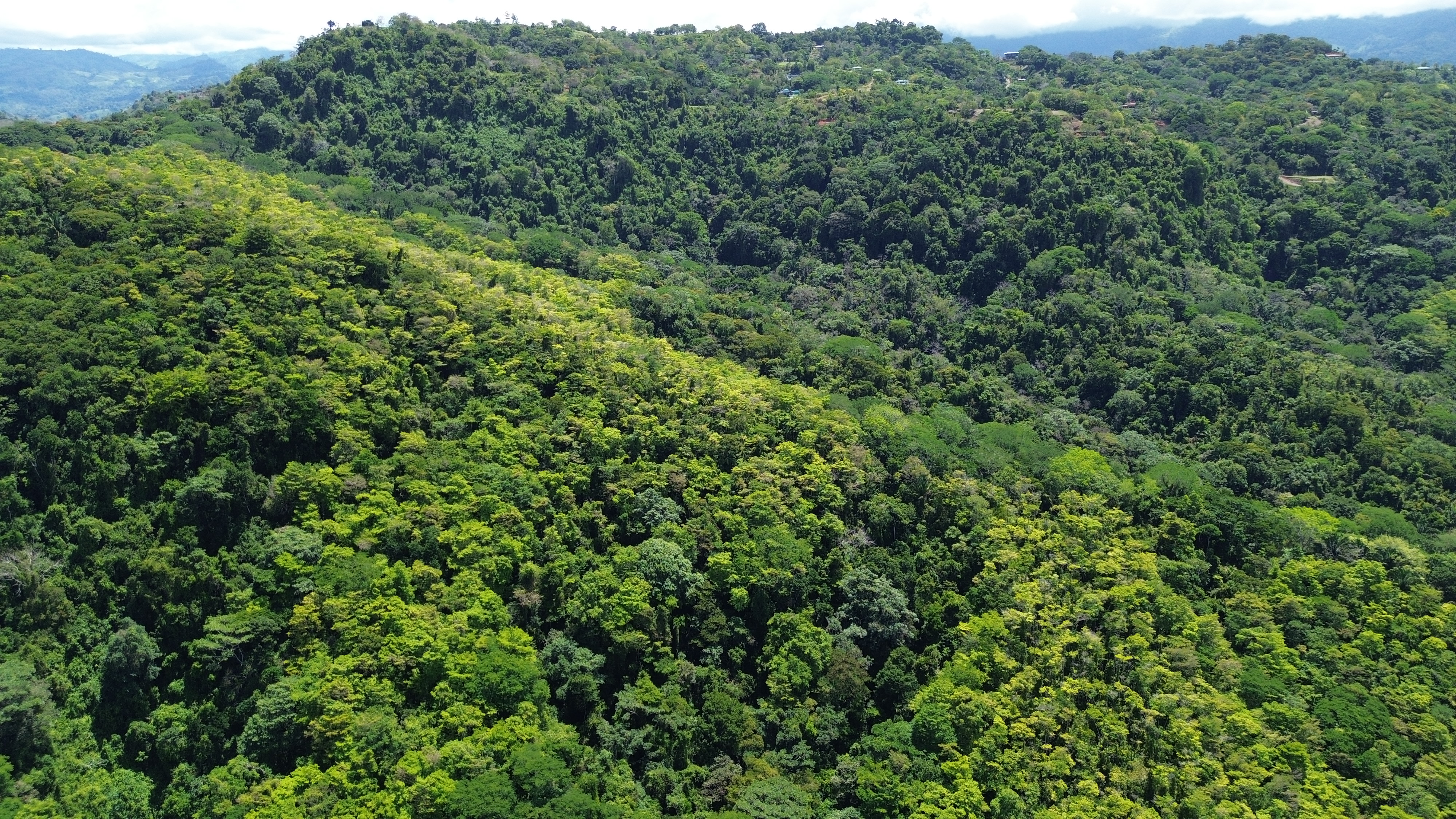 0 bed Land For Sale in Dominical, Puntarenas - thumb 6